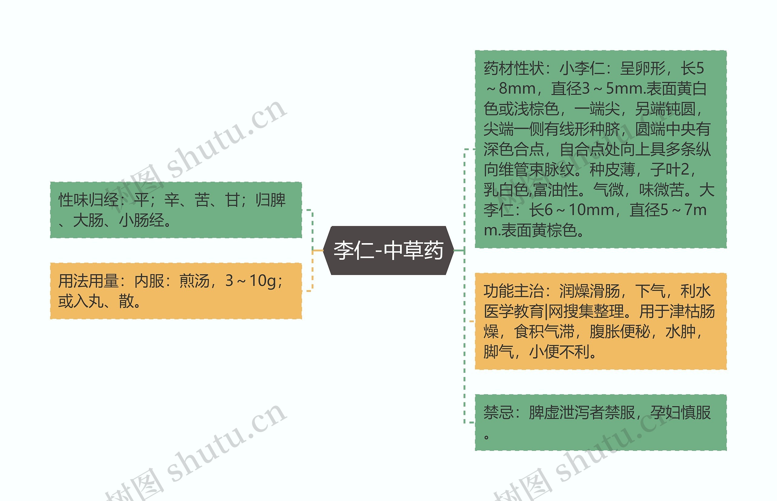 李仁-中草药思维导图