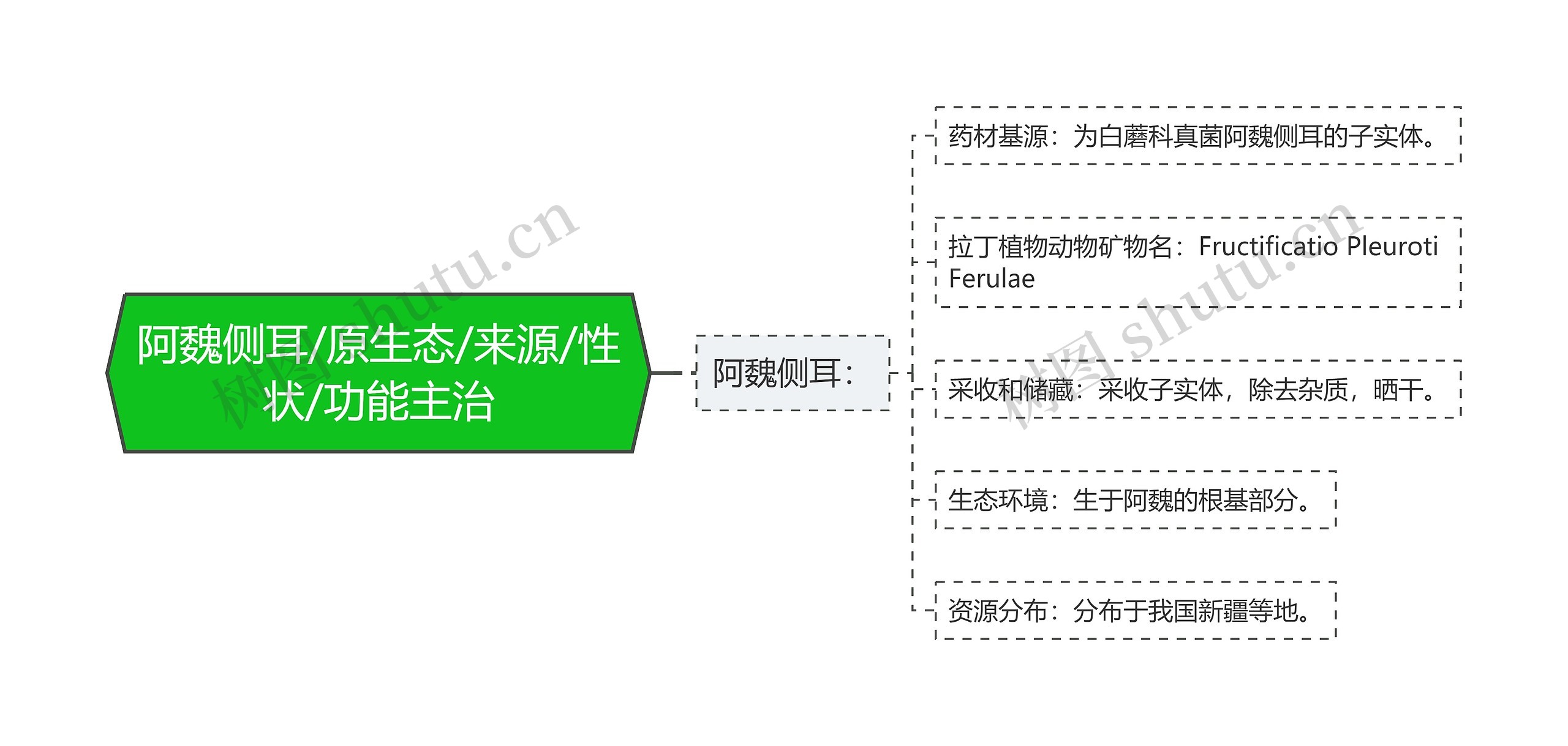 阿魏侧耳/原生态/来源/性状/功能主治思维导图