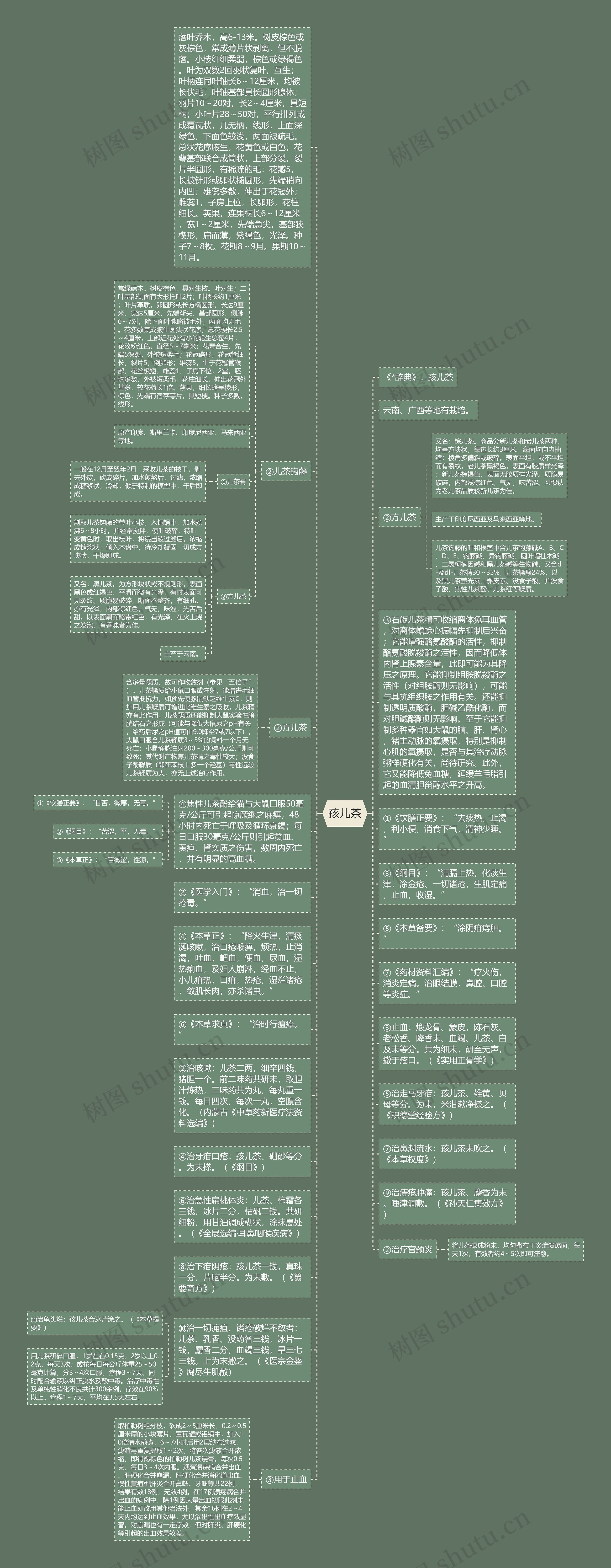 孩儿茶