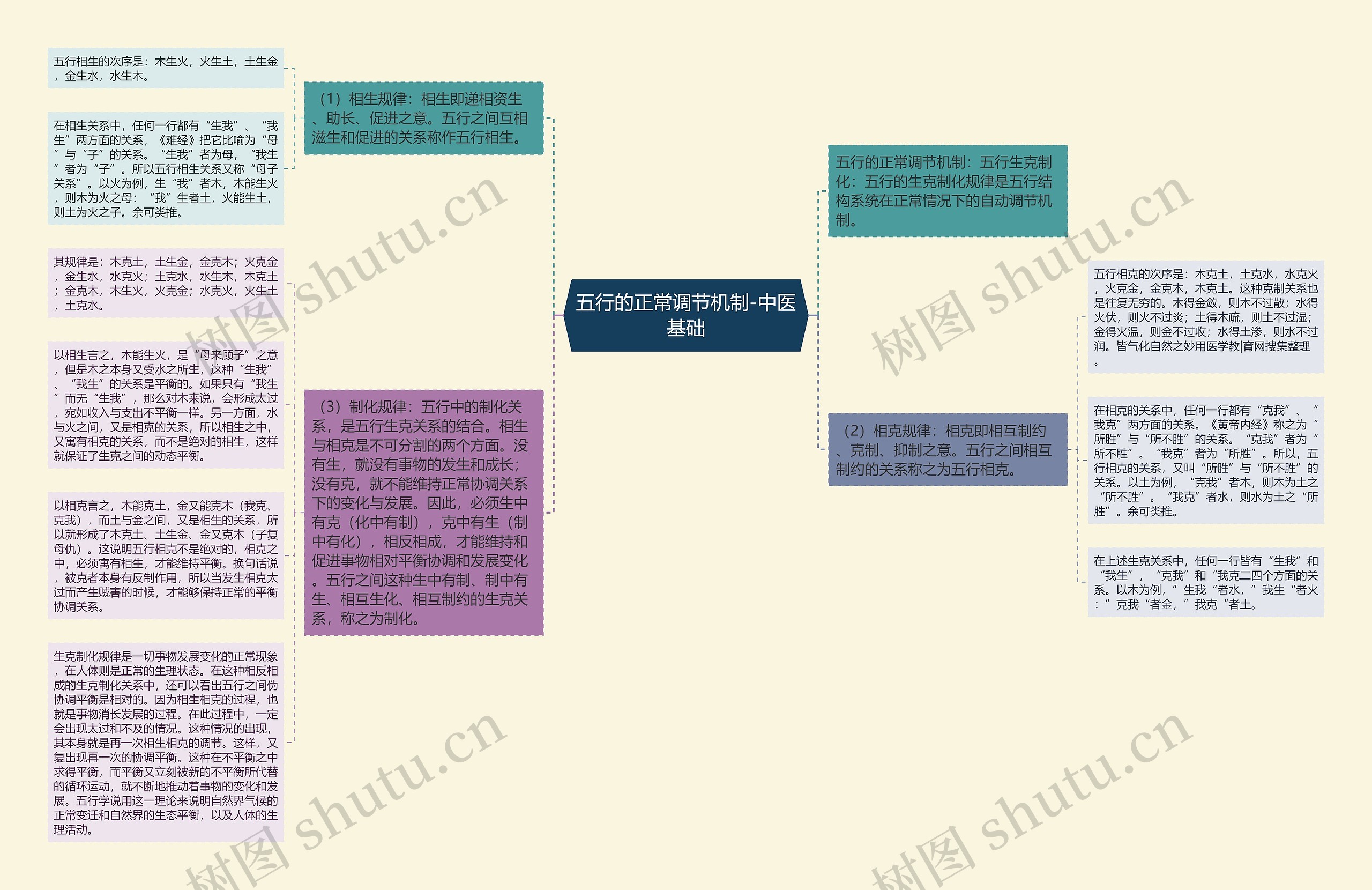 五行的正常调节机制-中医基础思维导图