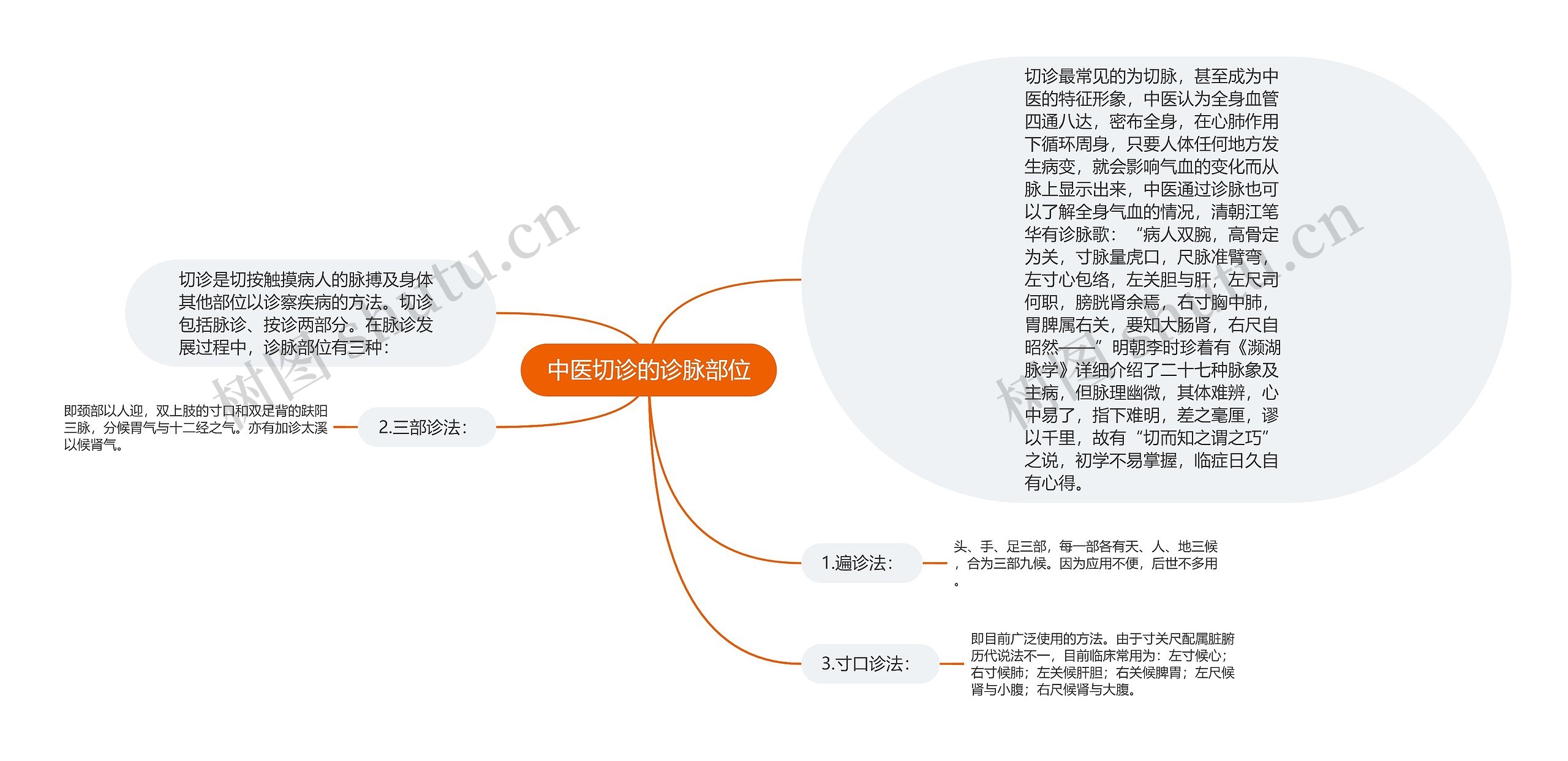 中医切诊的诊脉部位思维导图