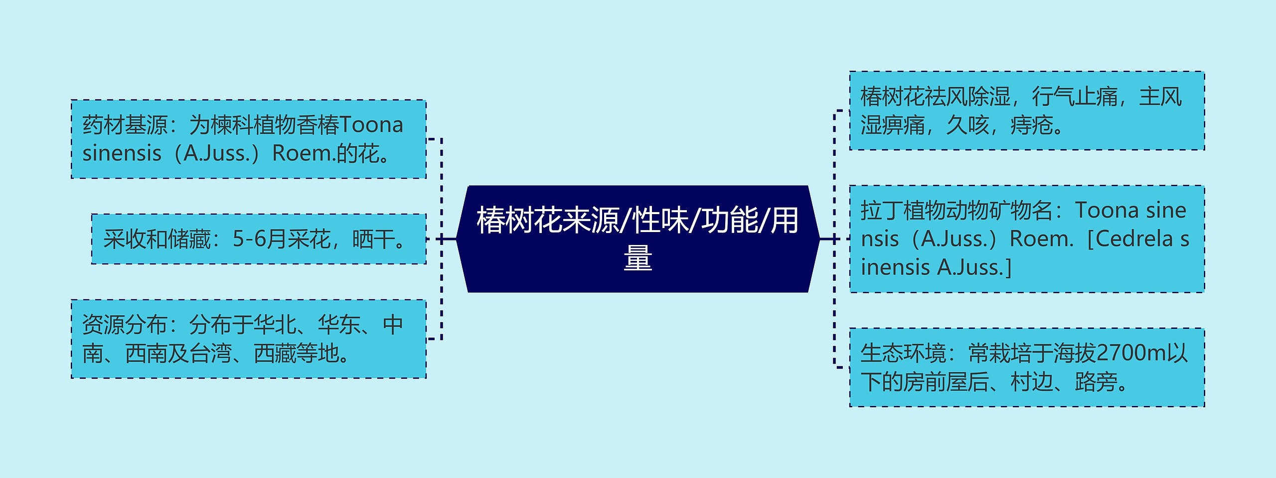 椿树花来源/性味/功能/用量思维导图