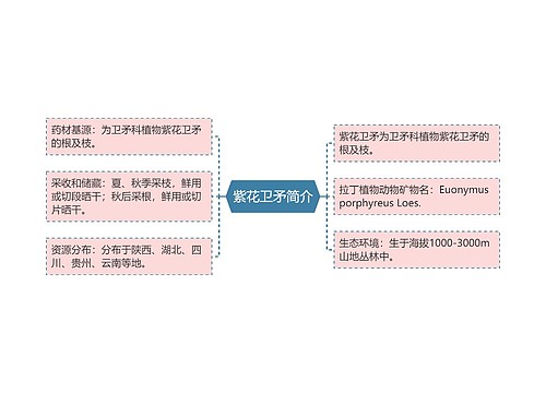 紫花卫矛简介