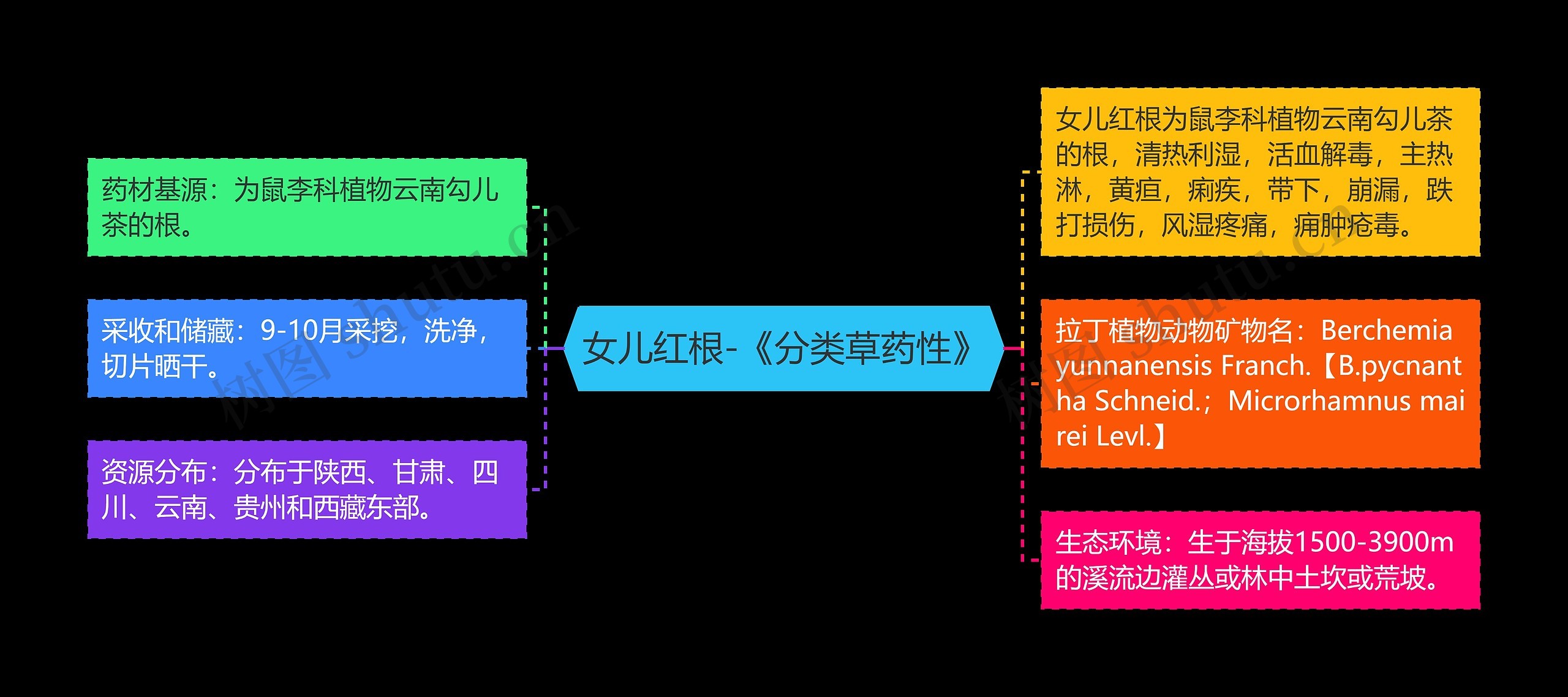 女儿红根-《分类草药性》