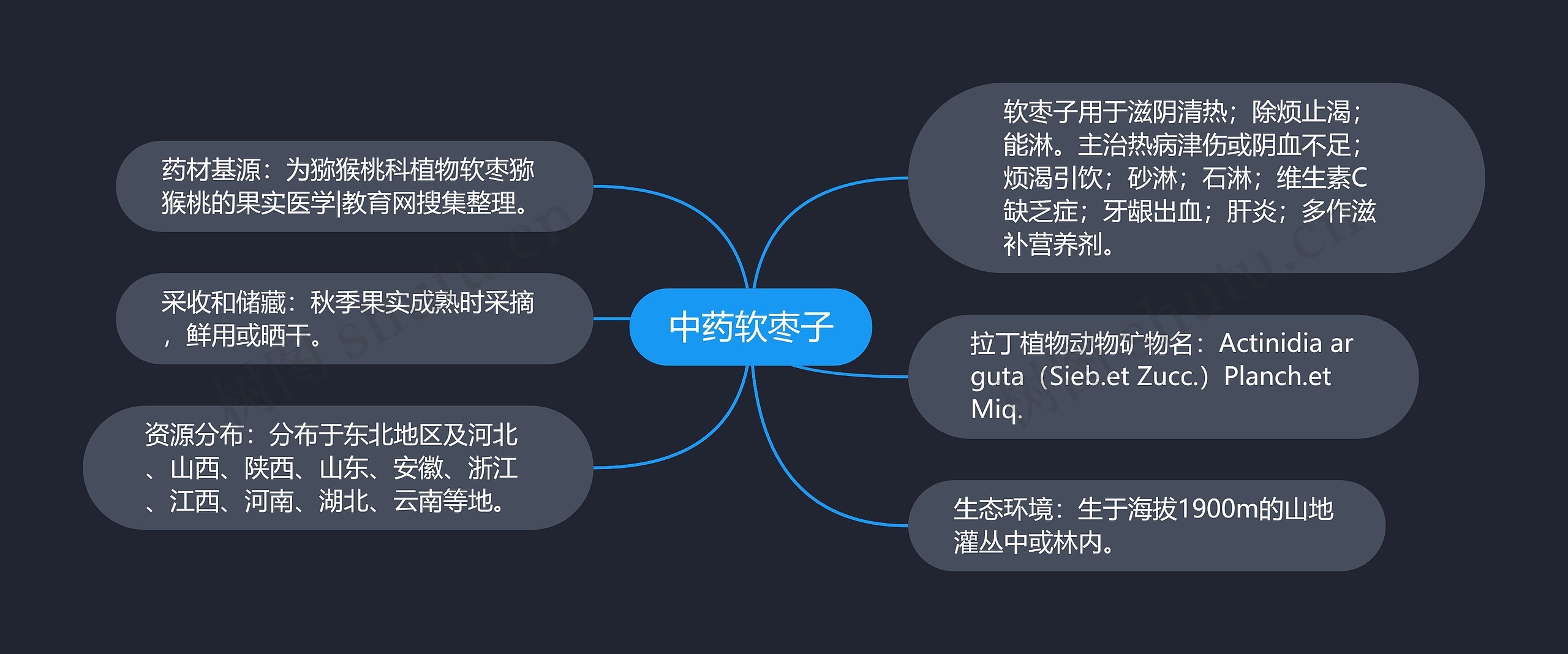 中药软枣子思维导图