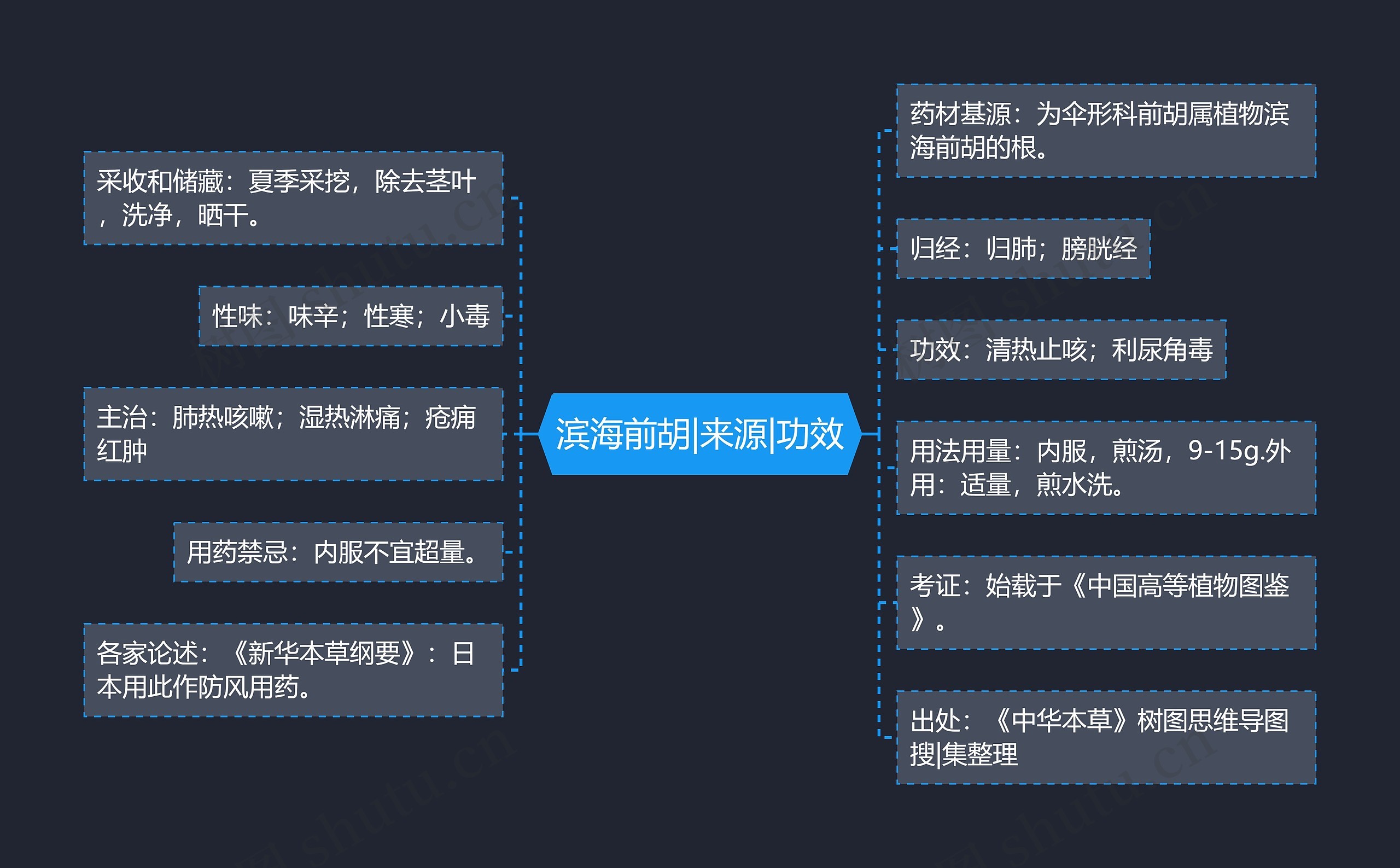 滨海前胡|来源|功效思维导图