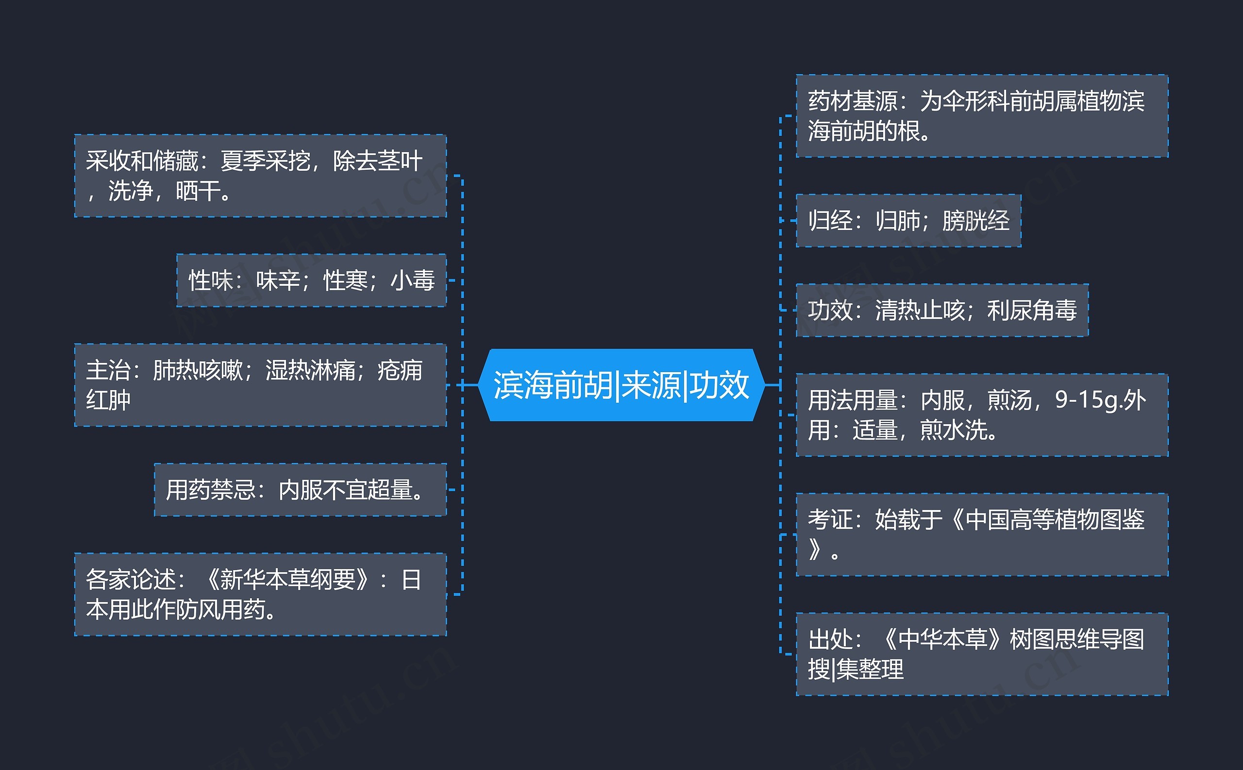 滨海前胡|来源|功效 滨海前胡|来源|功效