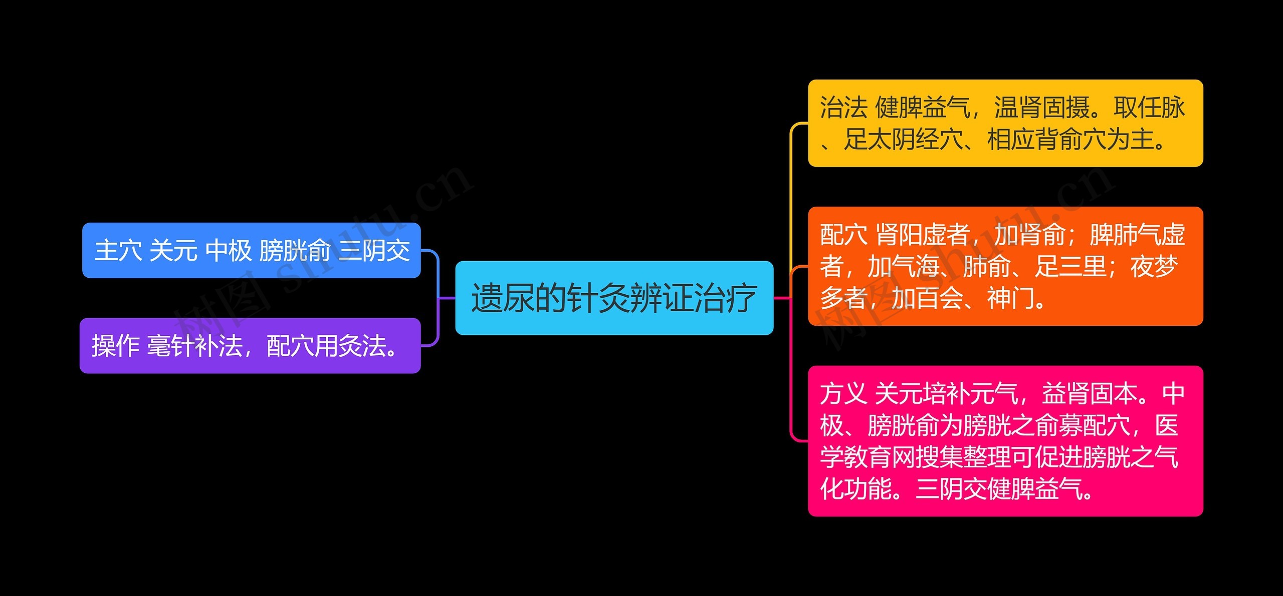 遗尿的针灸辨证治疗思维导图