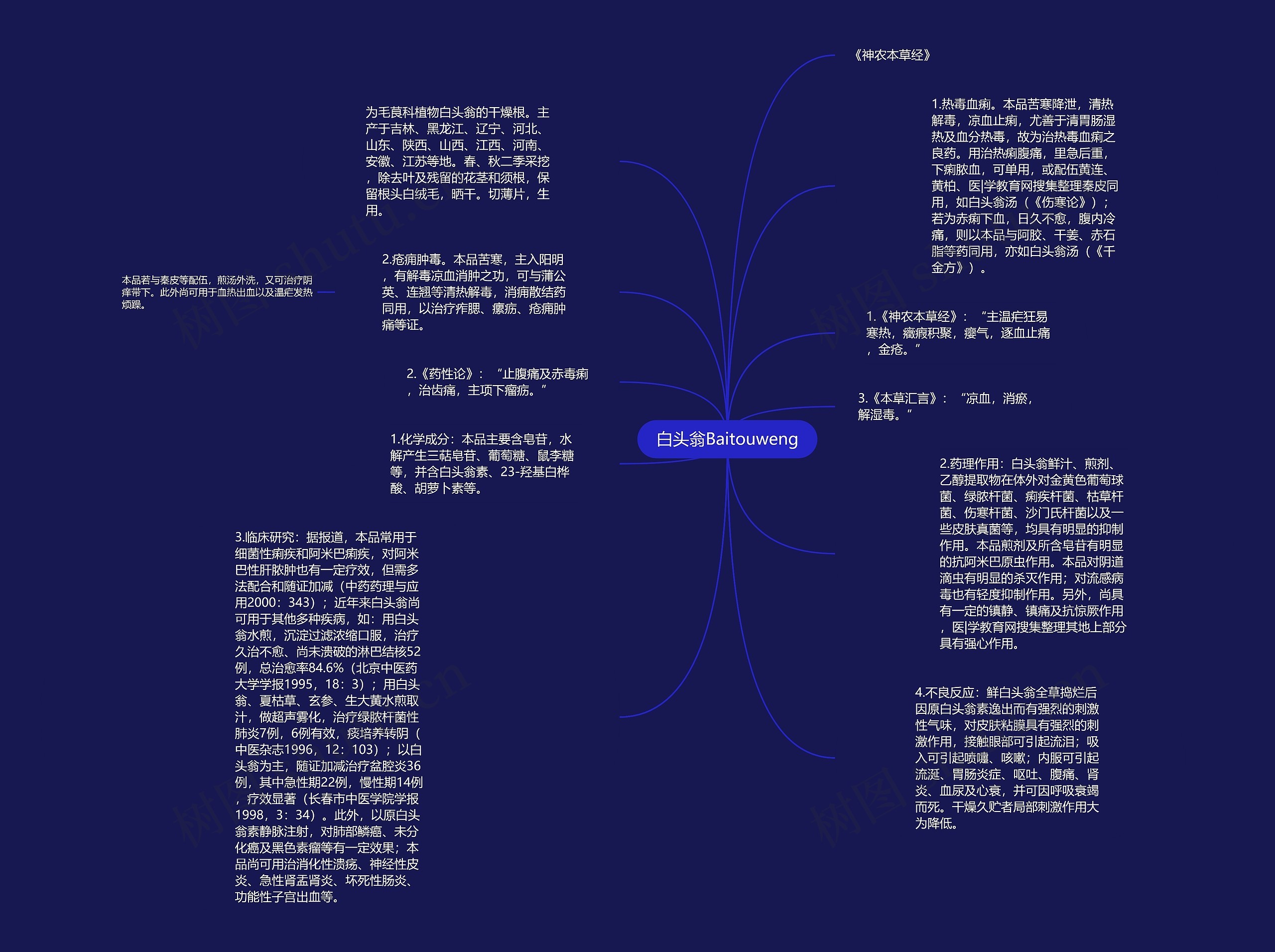 白头翁Baitouweng思维导图