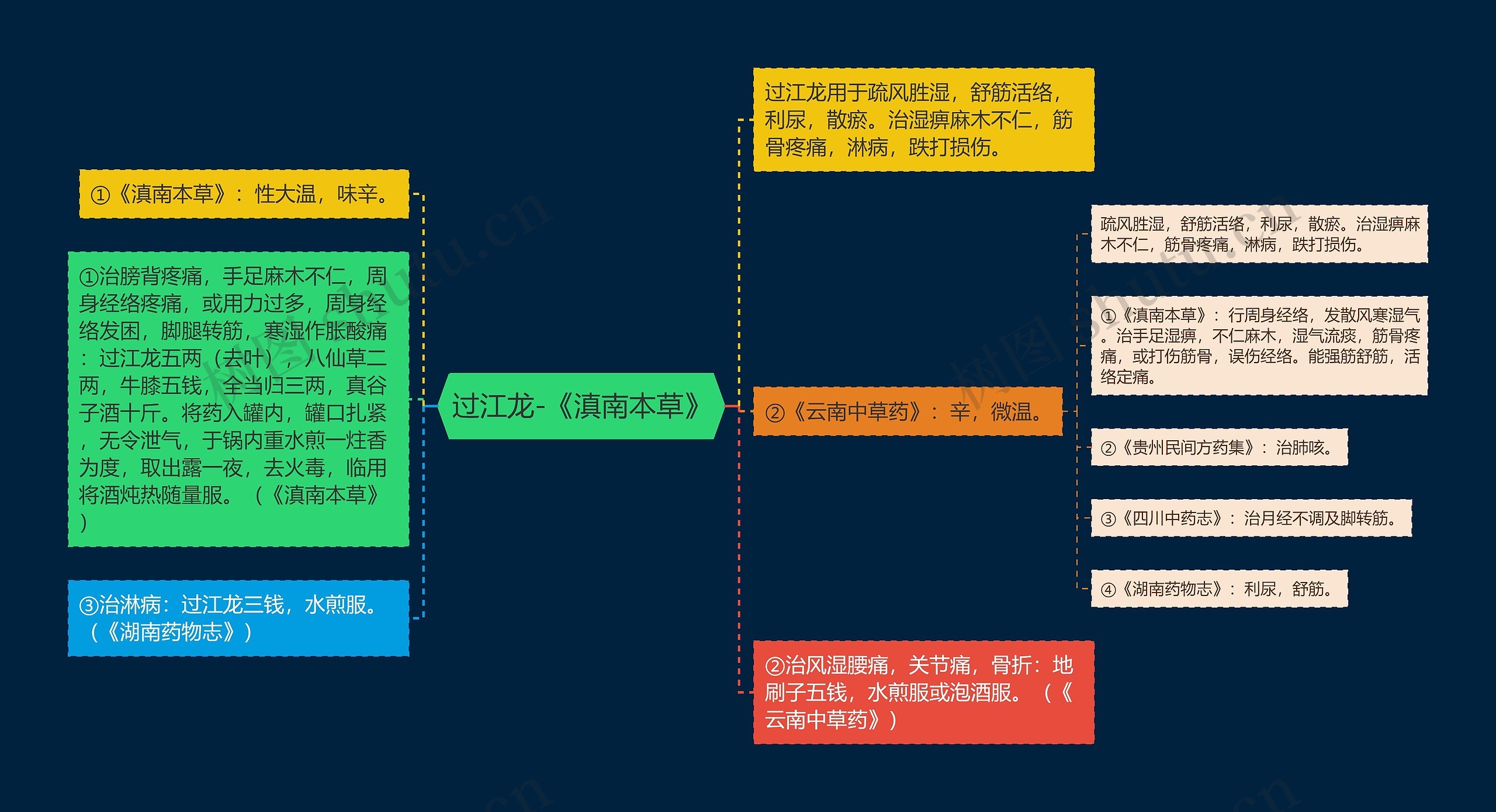 过江龙-《滇南本草》思维导图