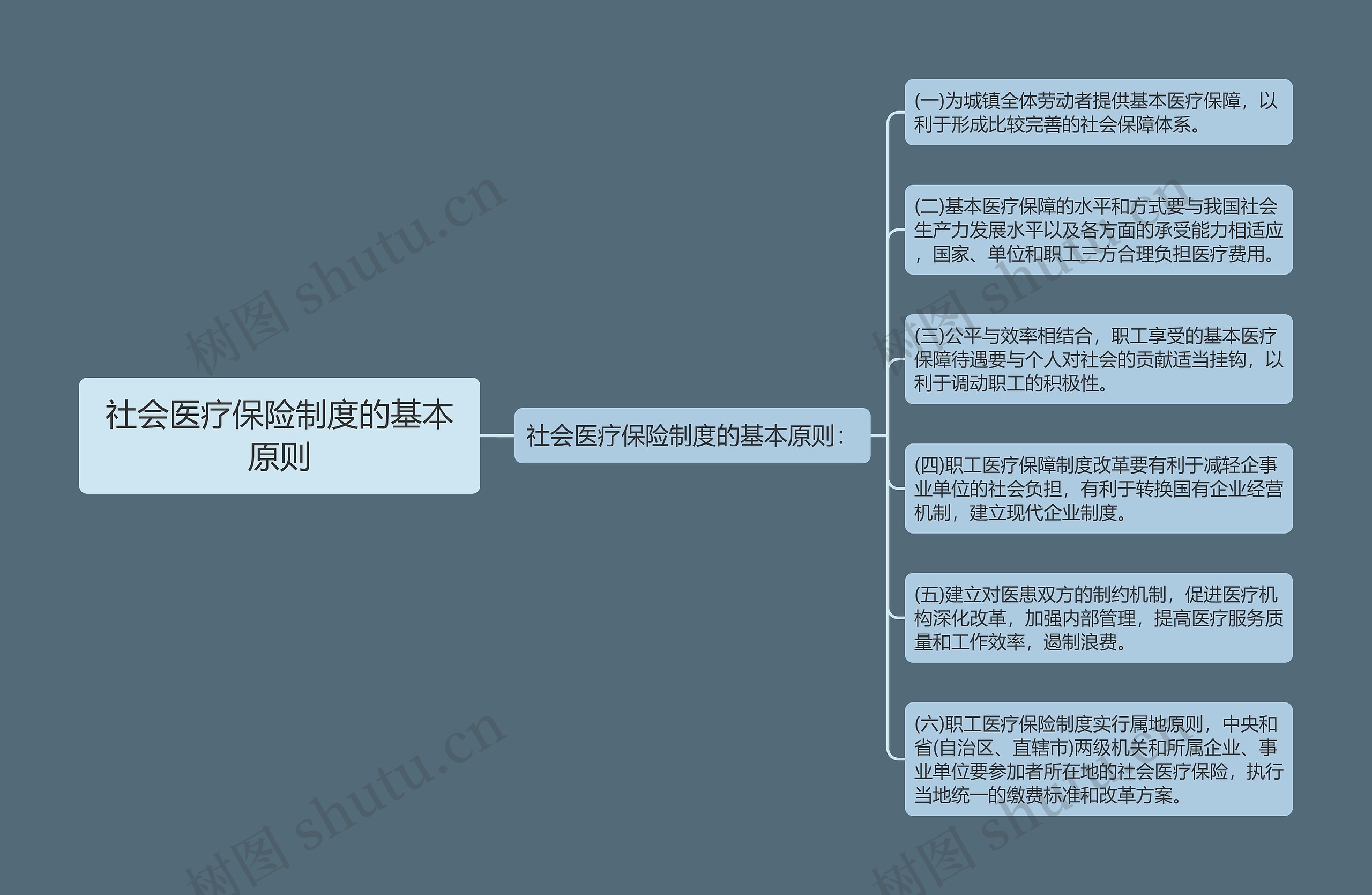 社会医疗保险制度的基本原则思维导图