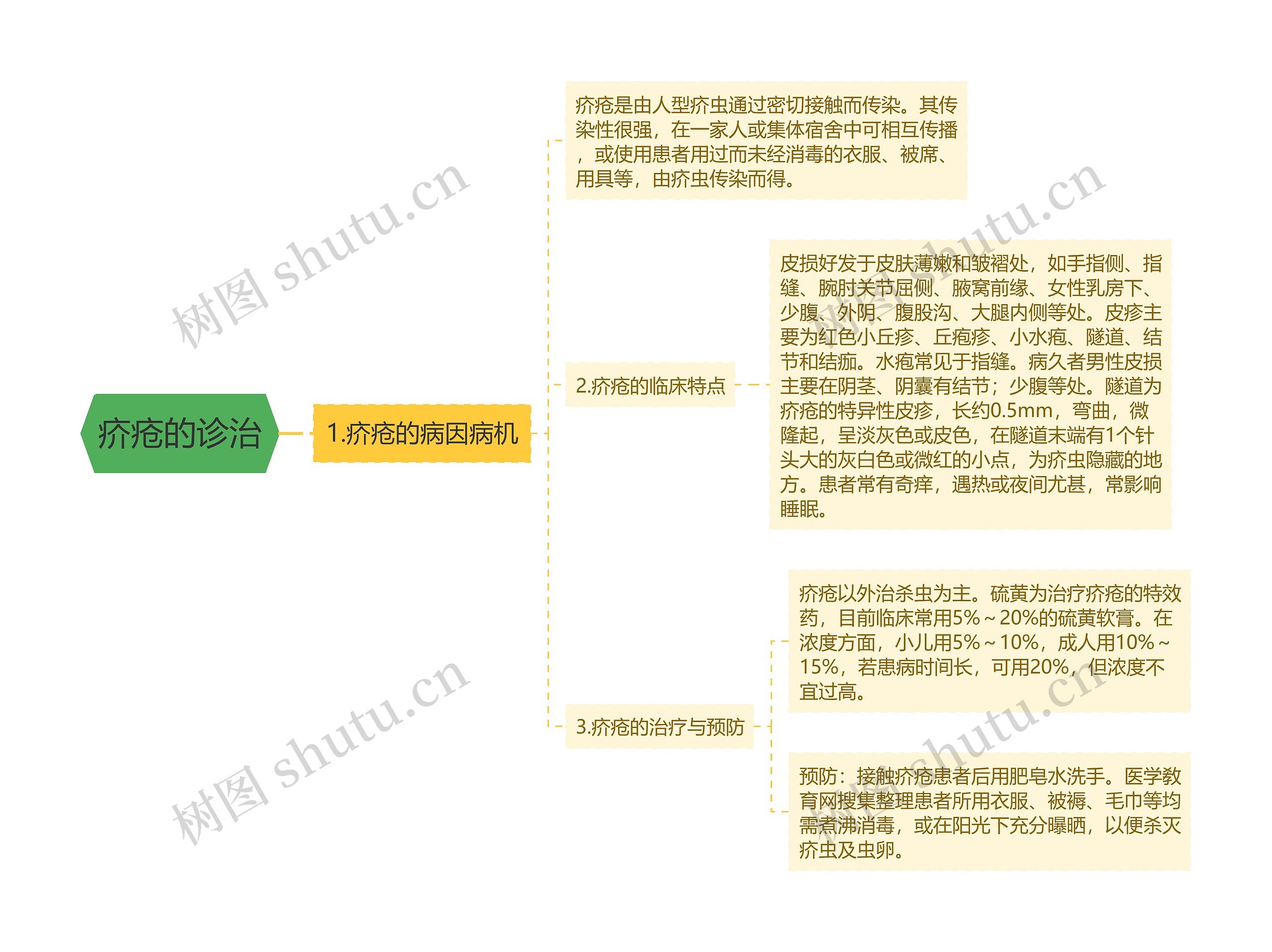 疥疮的诊治思维导图