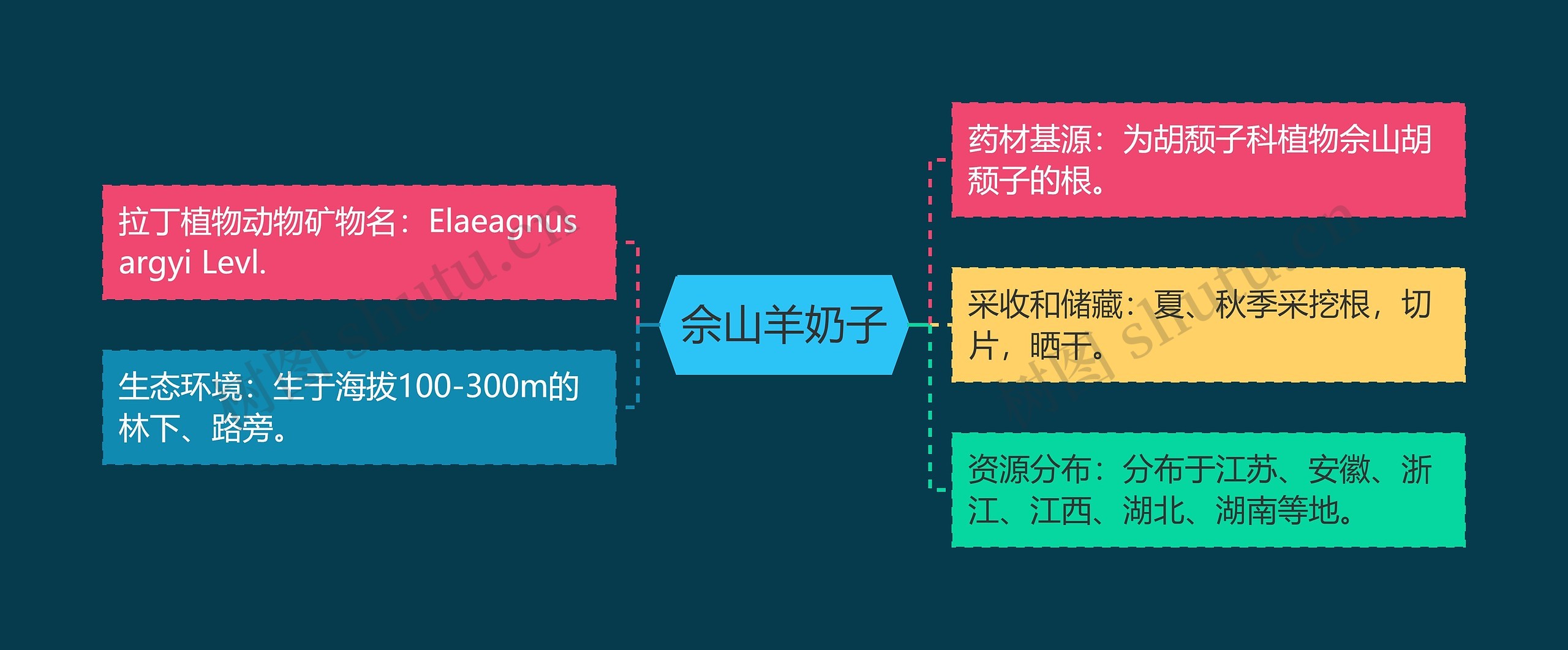 佘山羊奶子思维导图