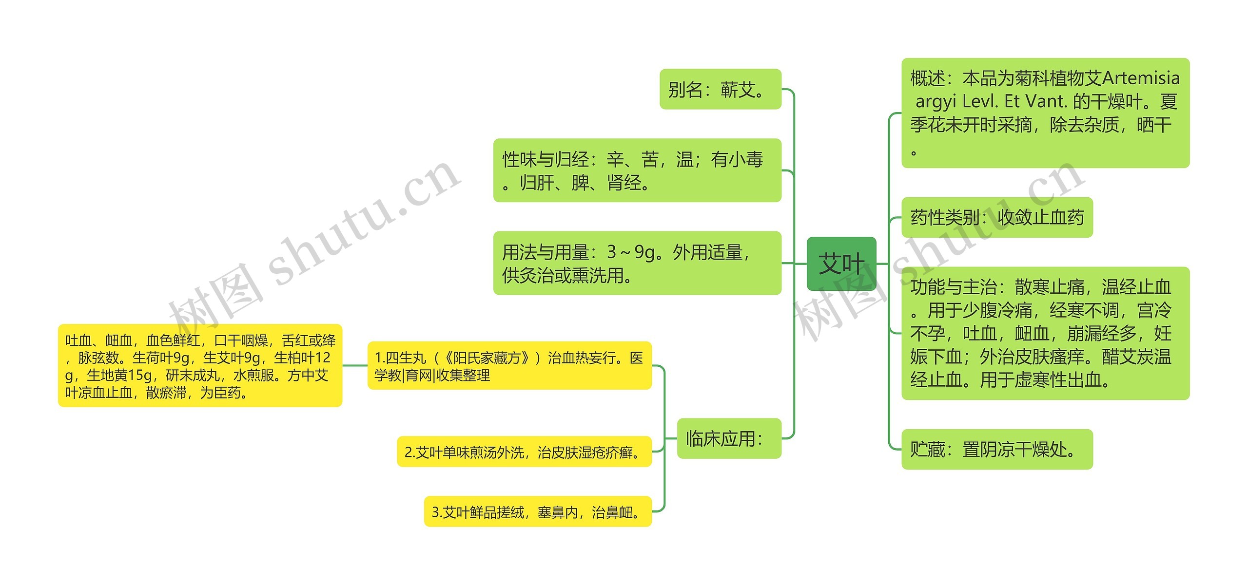 艾叶思维导图