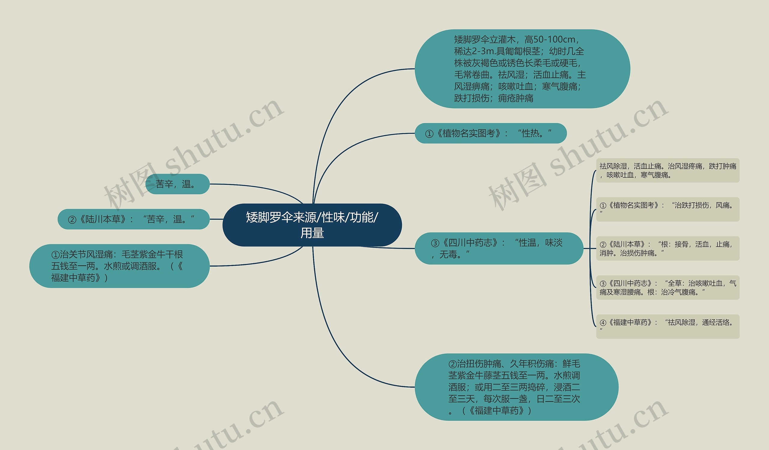 矮脚罗伞来源/性味/功能/用量思维导图