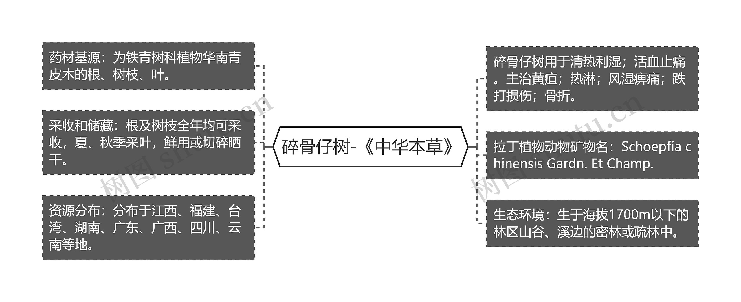 碎骨仔树-《中华本草》思维导图