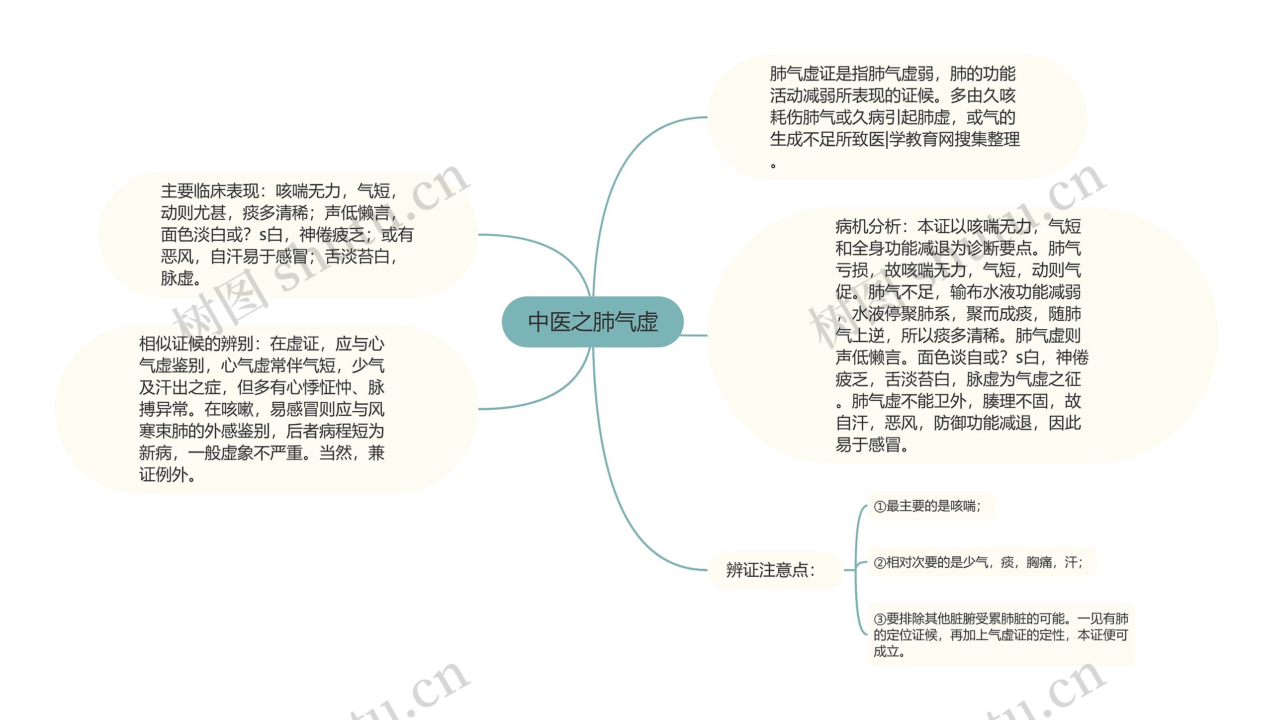 中医之肺气虚思维导图