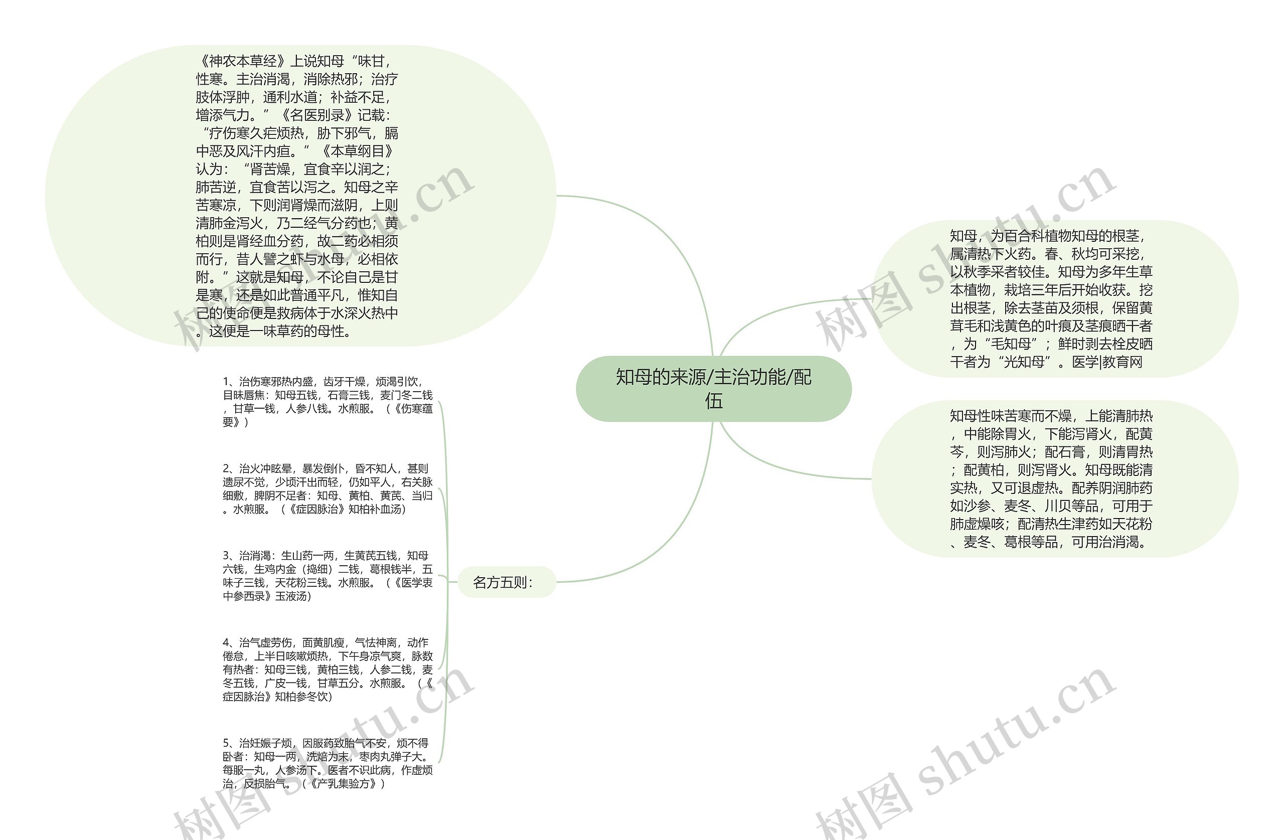 知母的来源/主治功能/配伍 知母的来源/主治功能/配伍