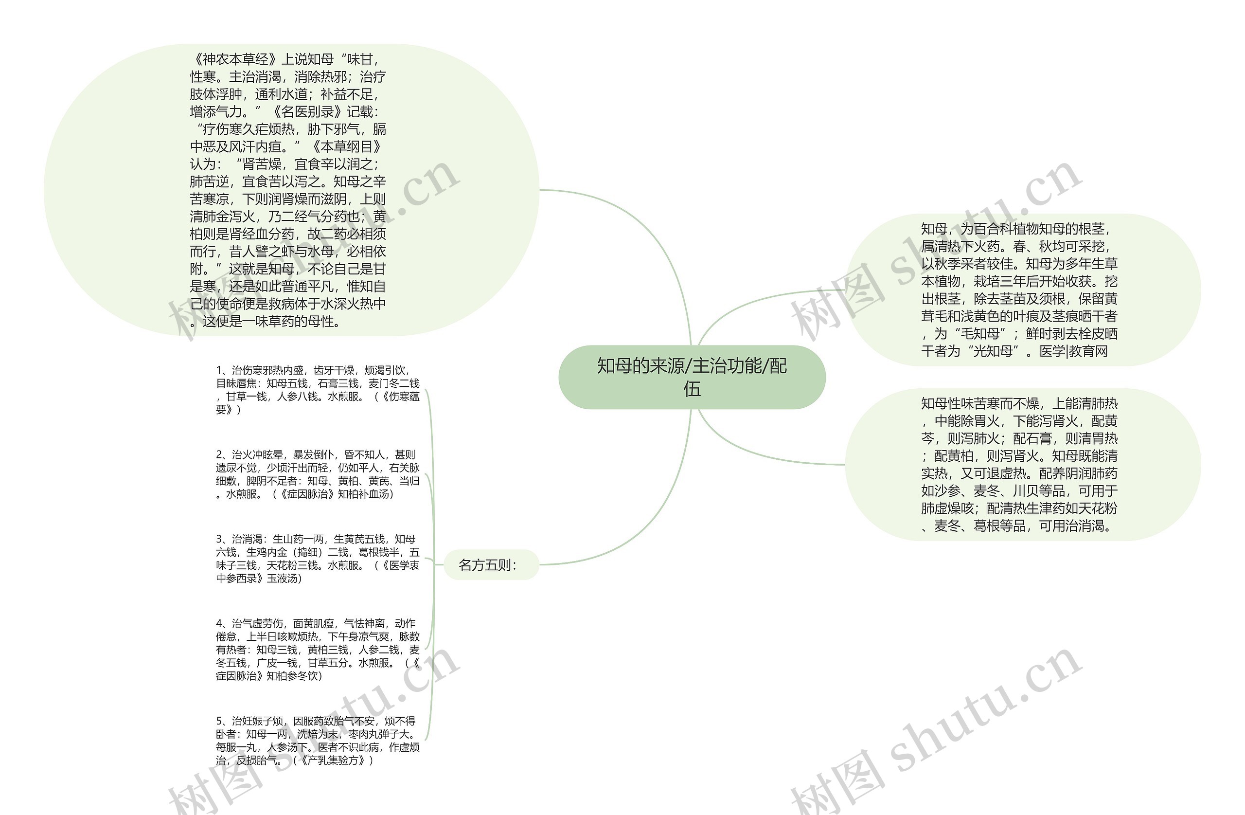 知母的来源/主治功能/配伍