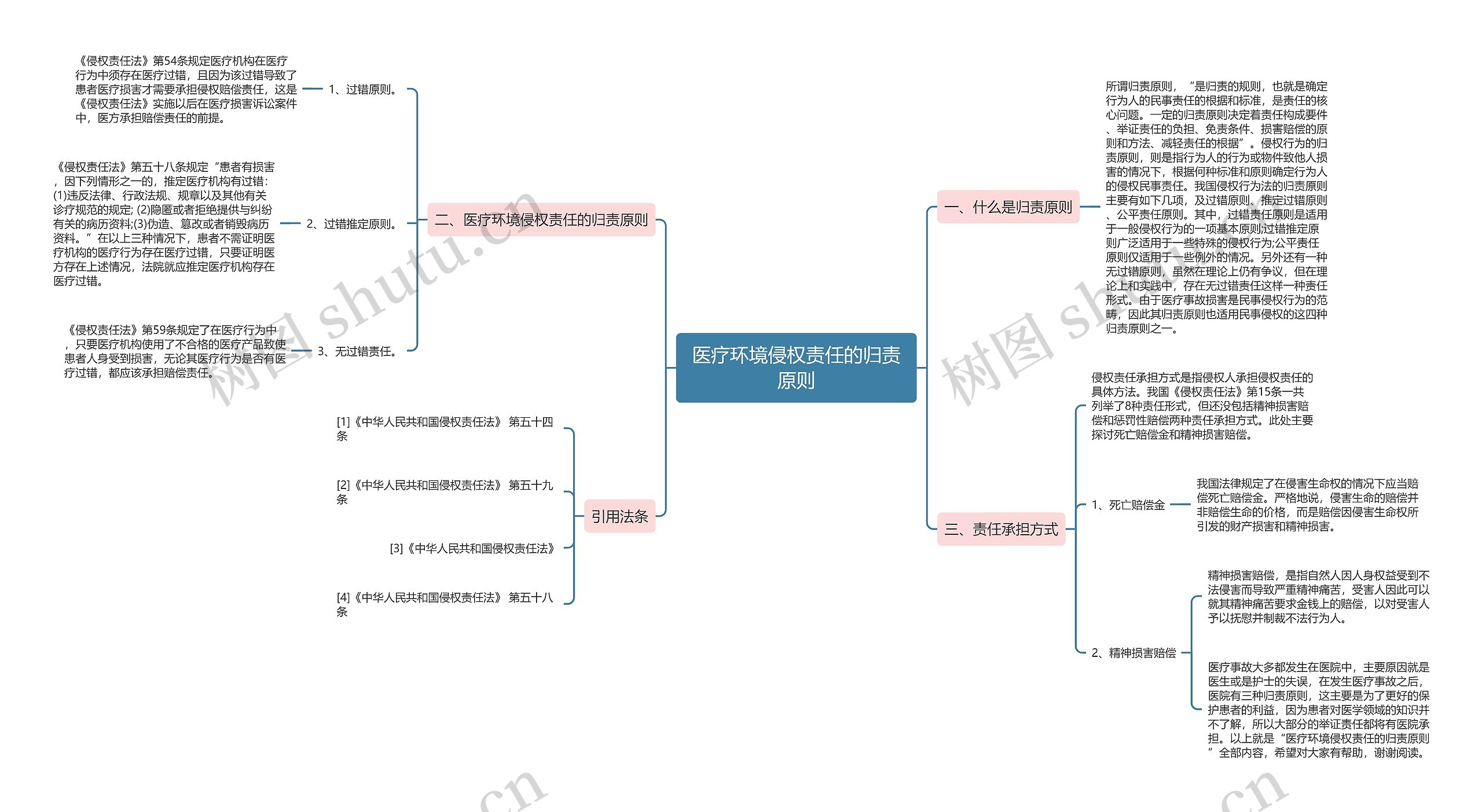 医疗环境侵权责任的归责原则思维导图