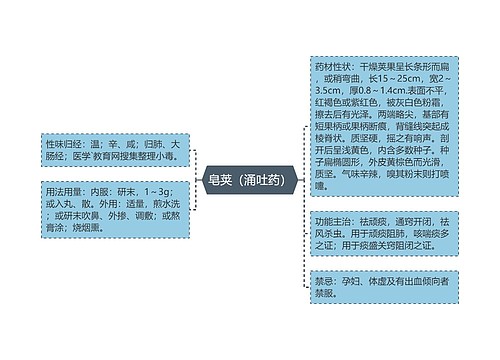 皂荚（涌吐药）