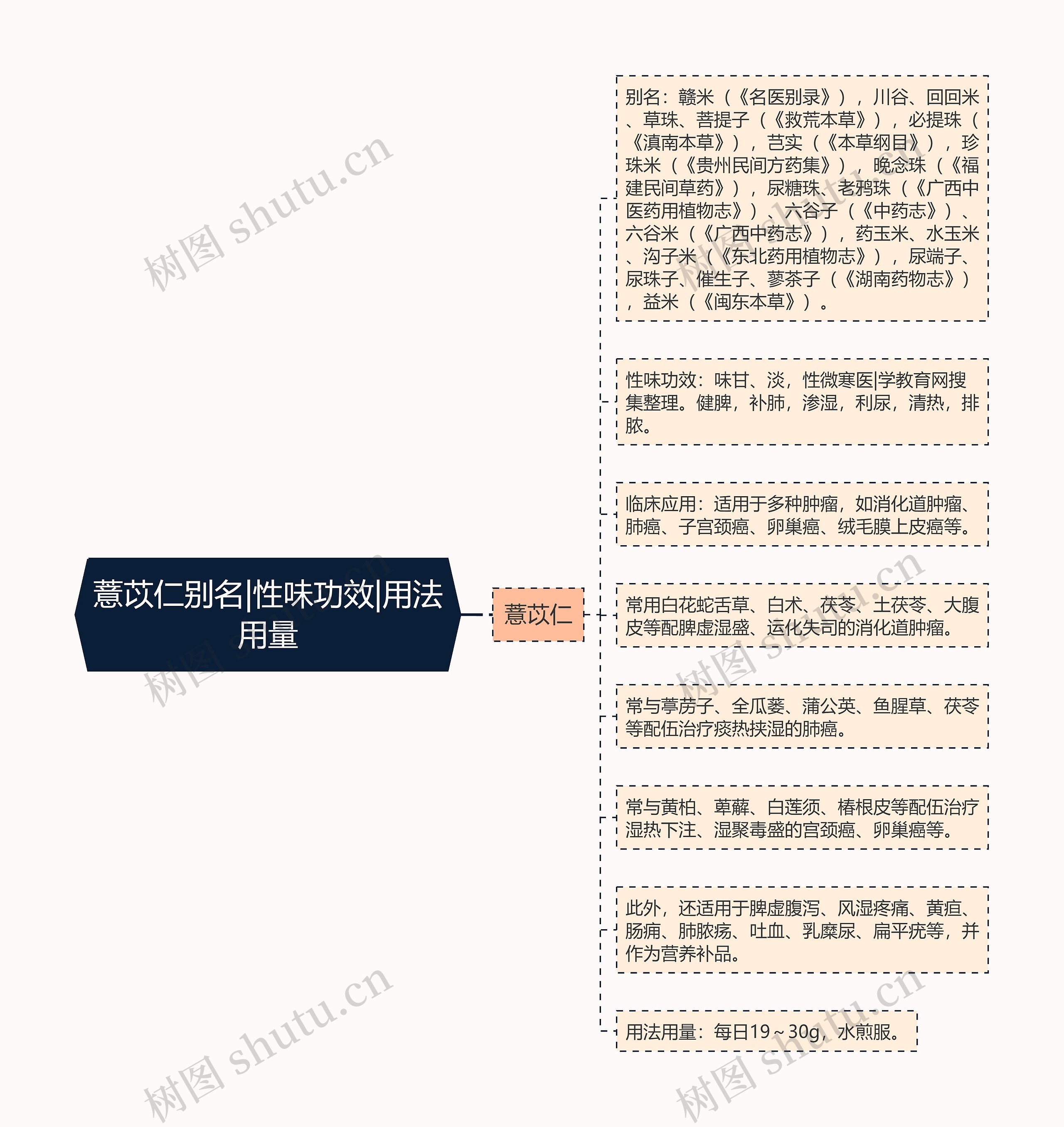 薏苡仁别名|性味功效|用法用量思维导图