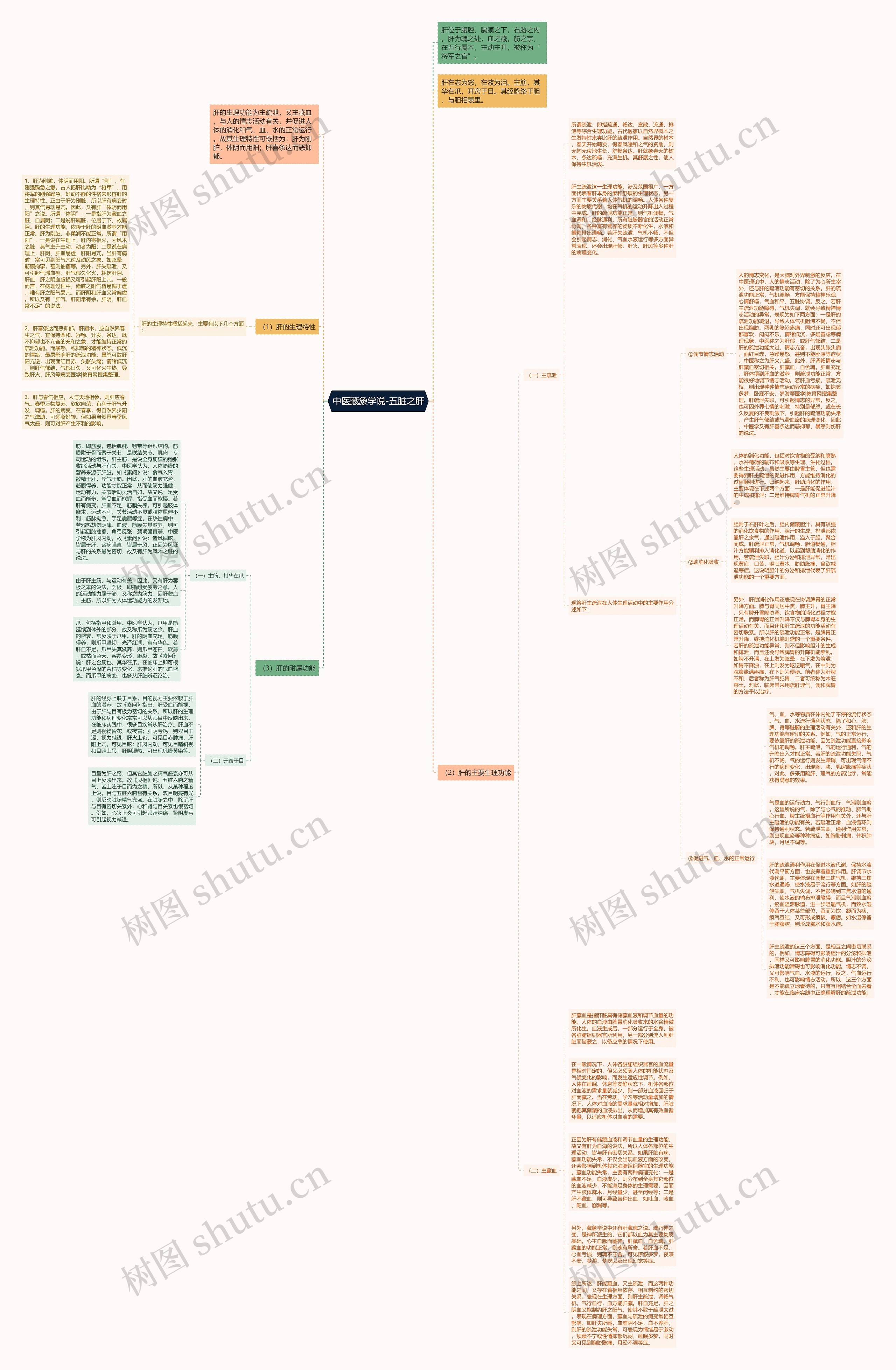 中医藏象学说-五脏之肝思维导图