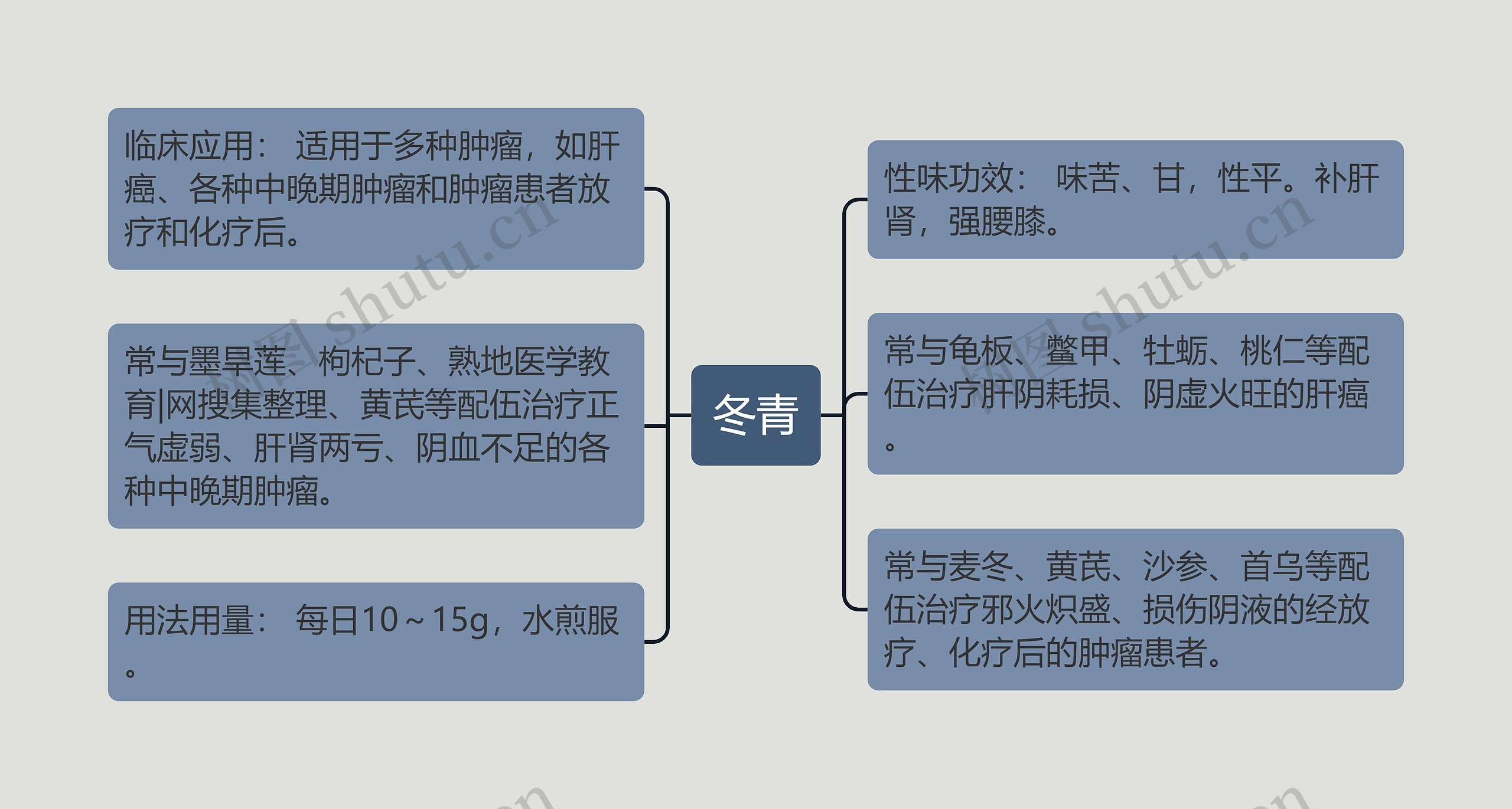 冬青思维导图