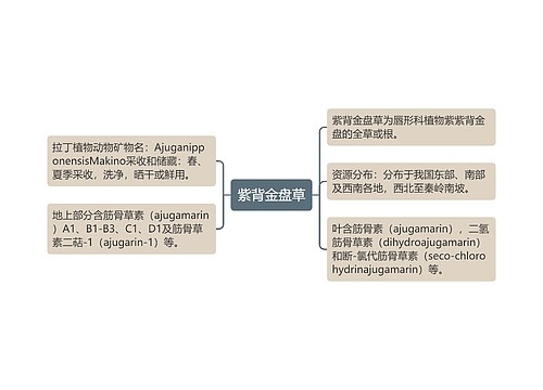 紫背金盘草