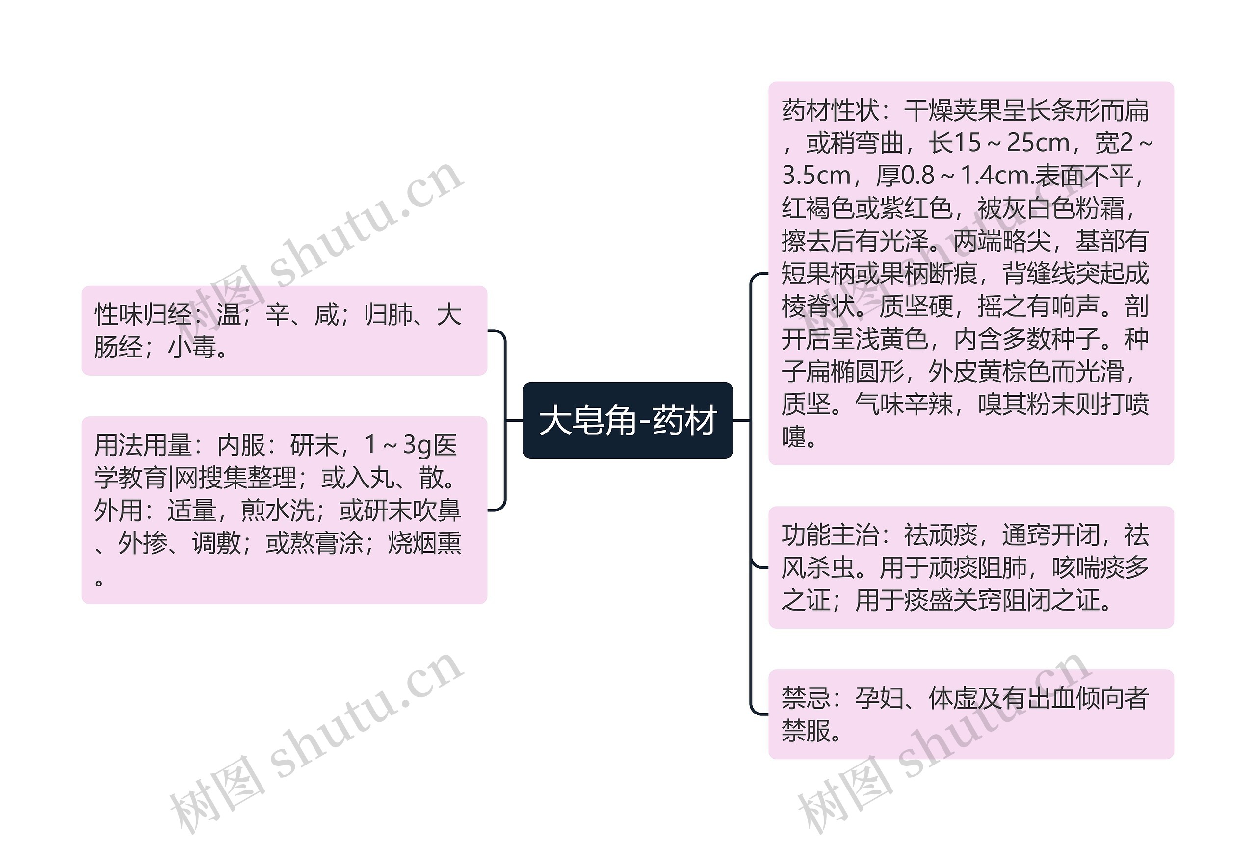 大皂角-药材思维导图