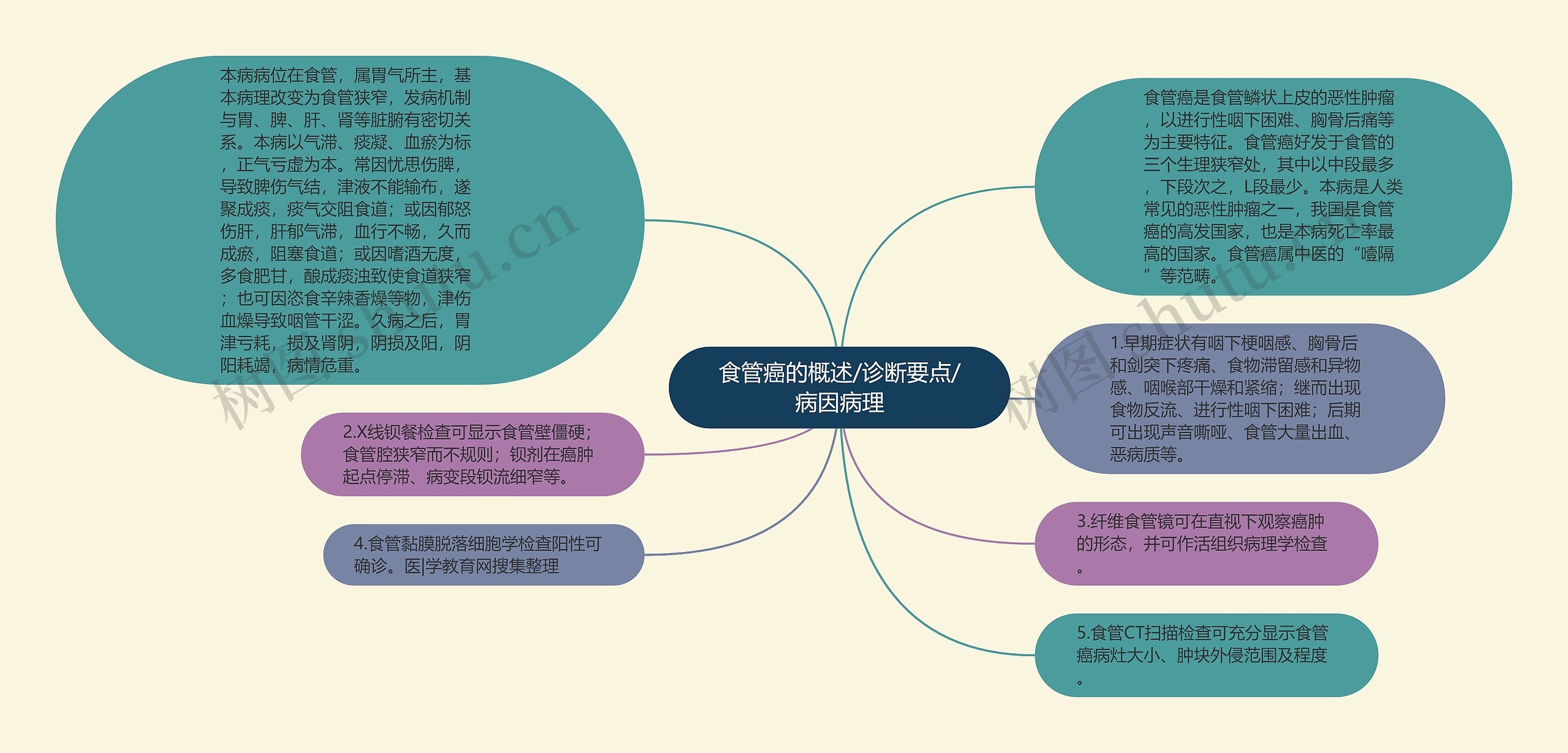 食管癌的概述/诊断要点/病因病理思维导图