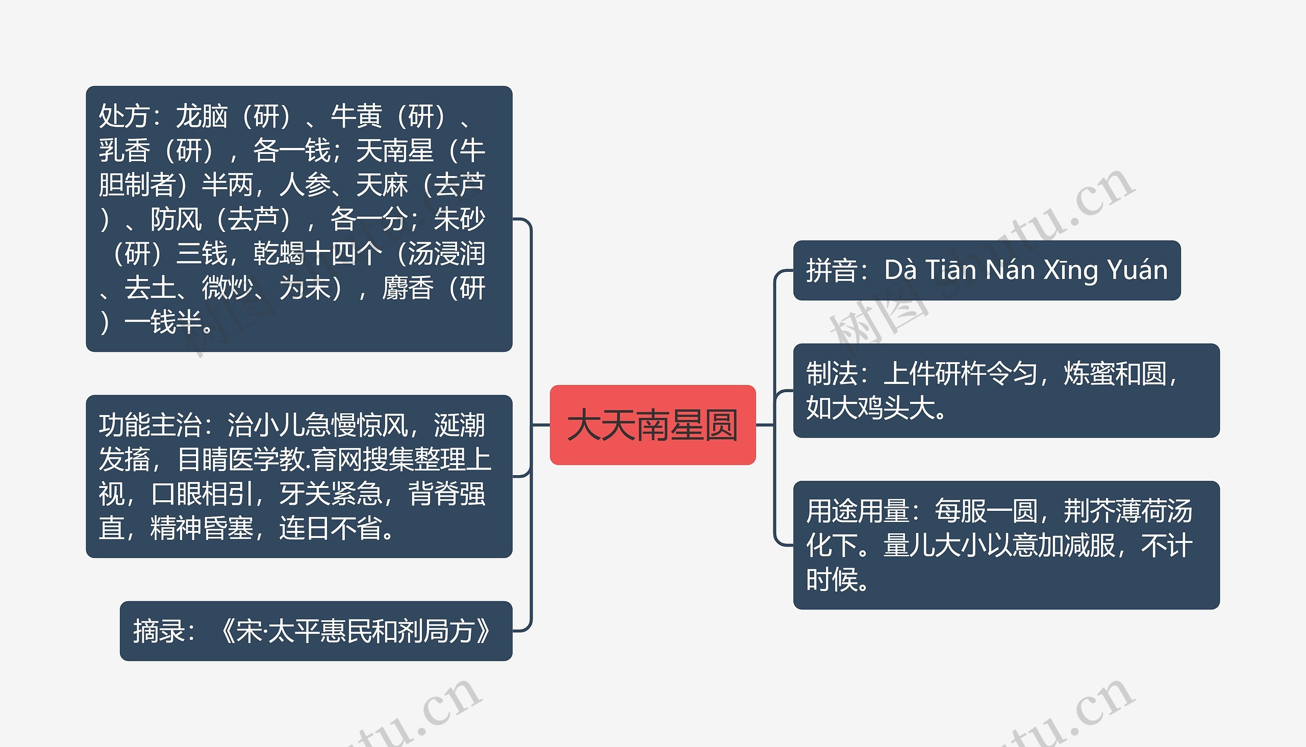 大天南星圆思维导图