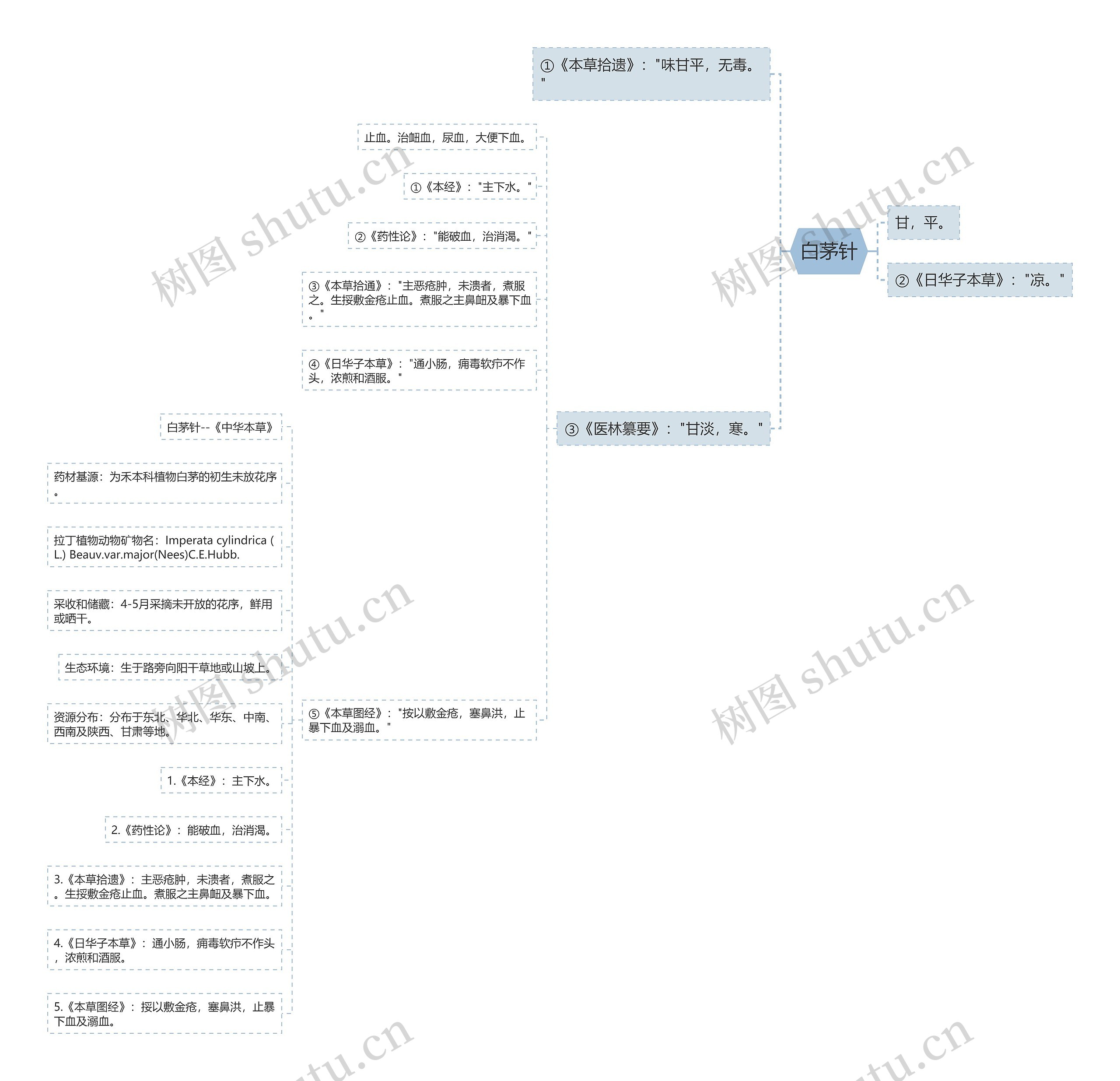 白茅针思维导图