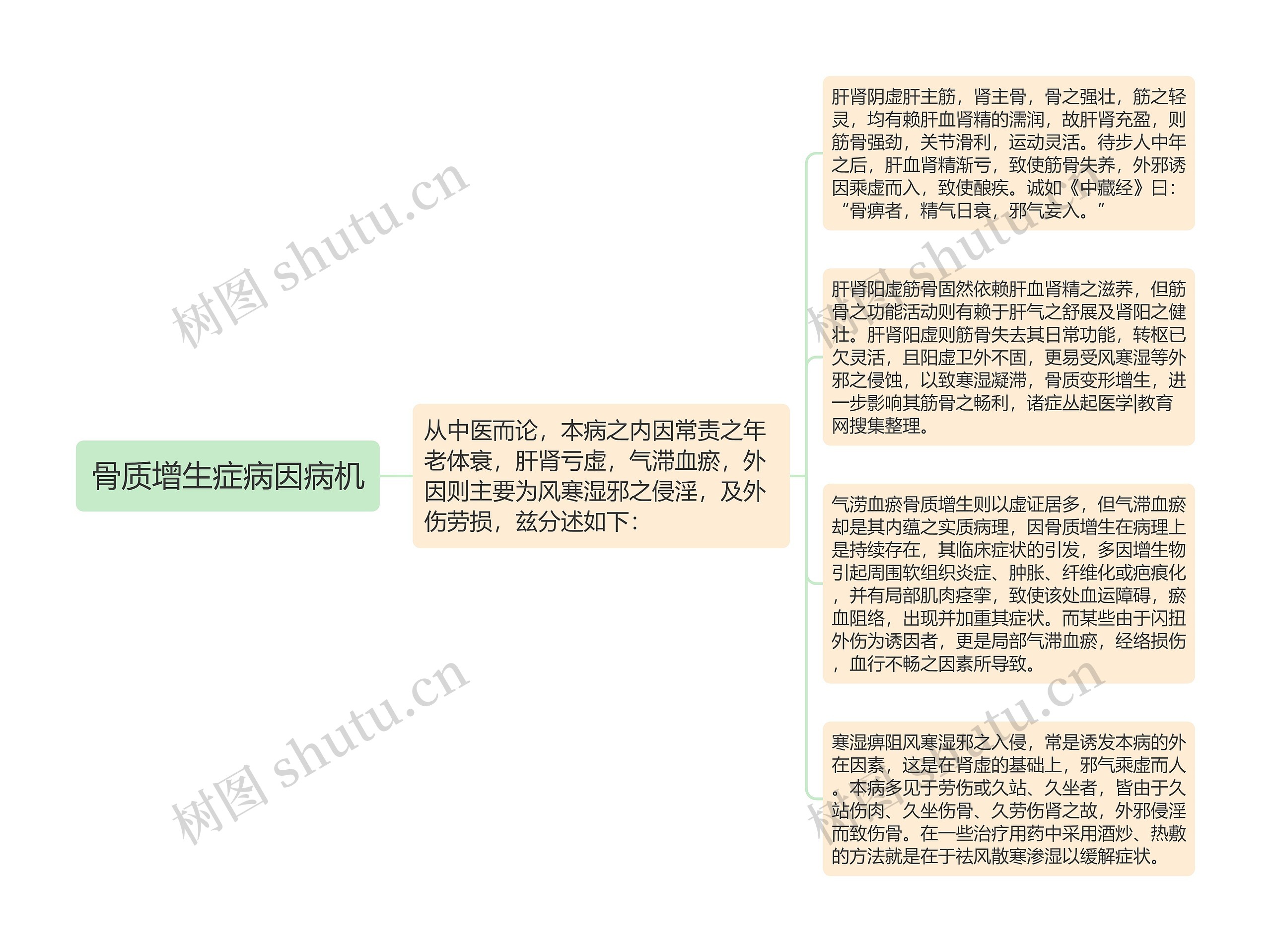 骨质增生症病因病机