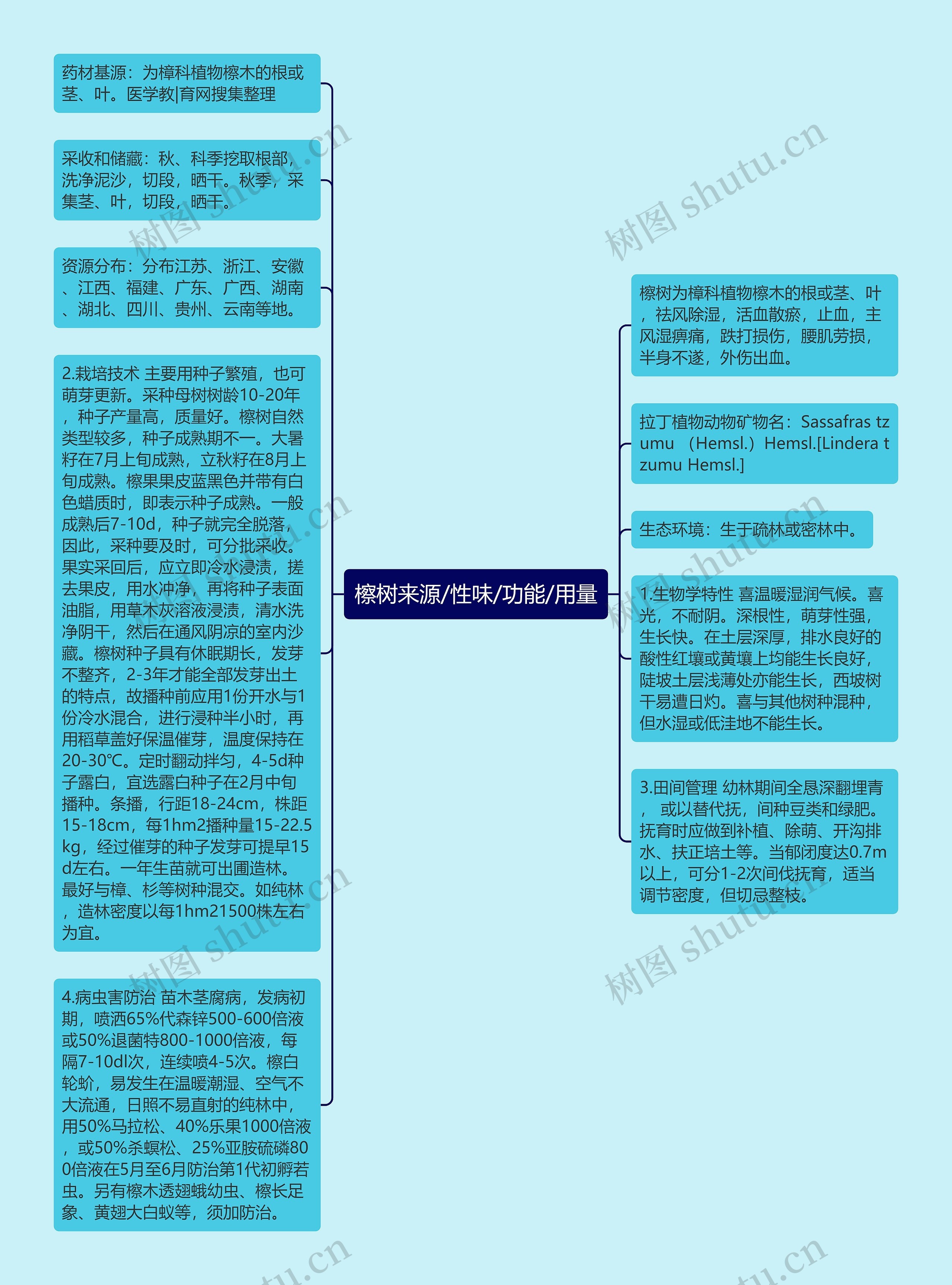 檫树来源/性味/功能/用量思维导图