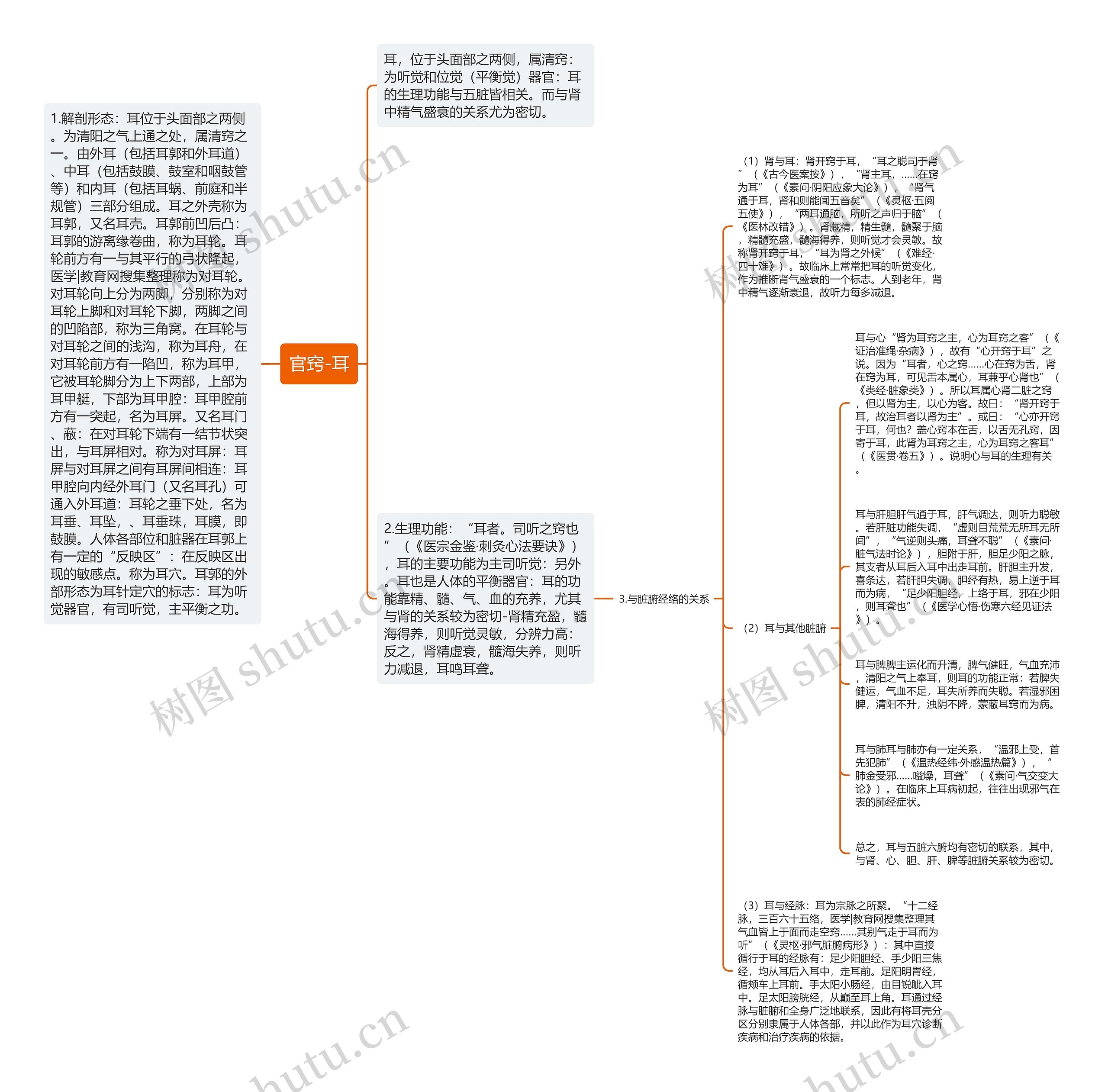 官窍-耳思维导图