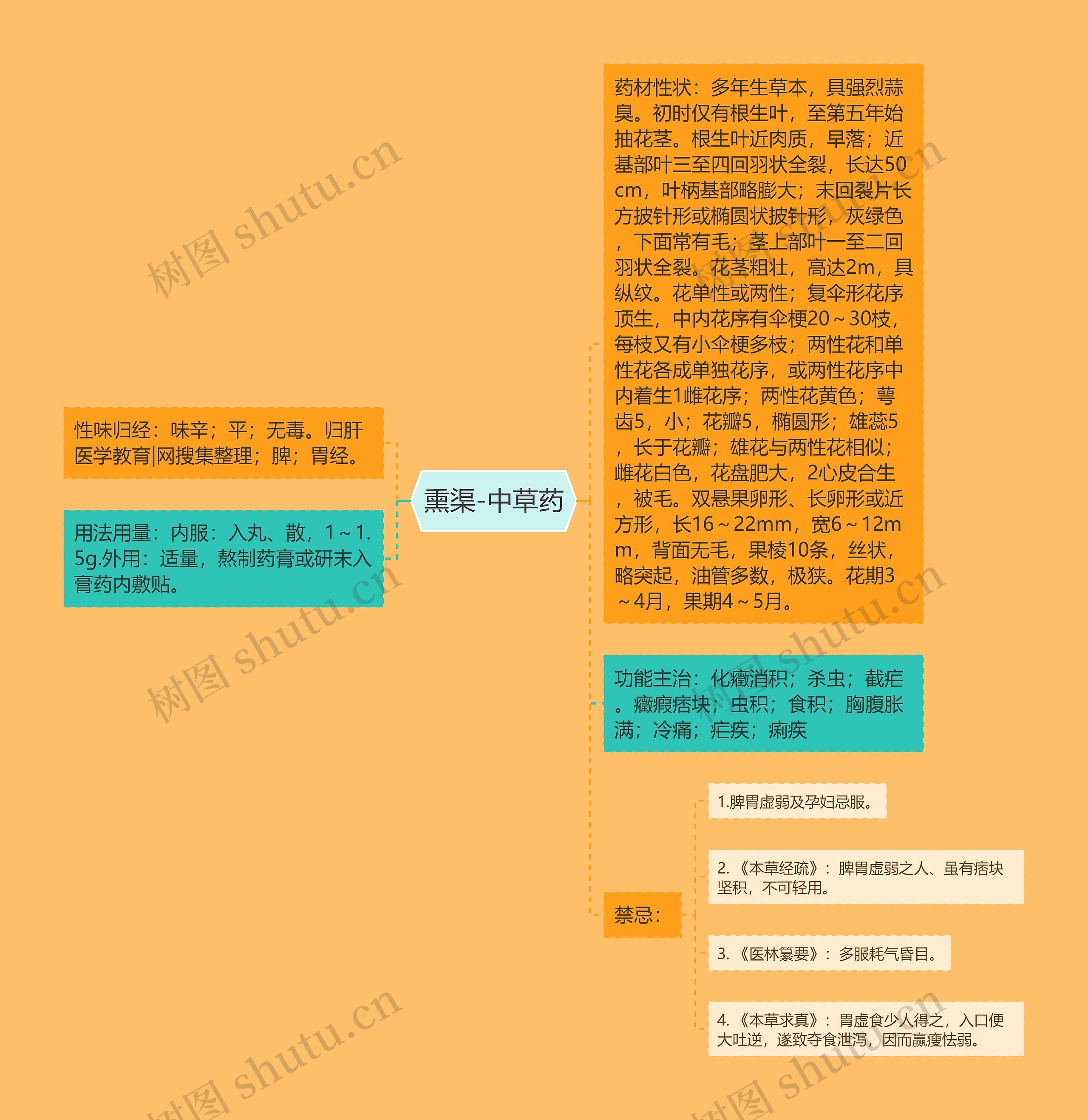 熏渠-中草药思维导图