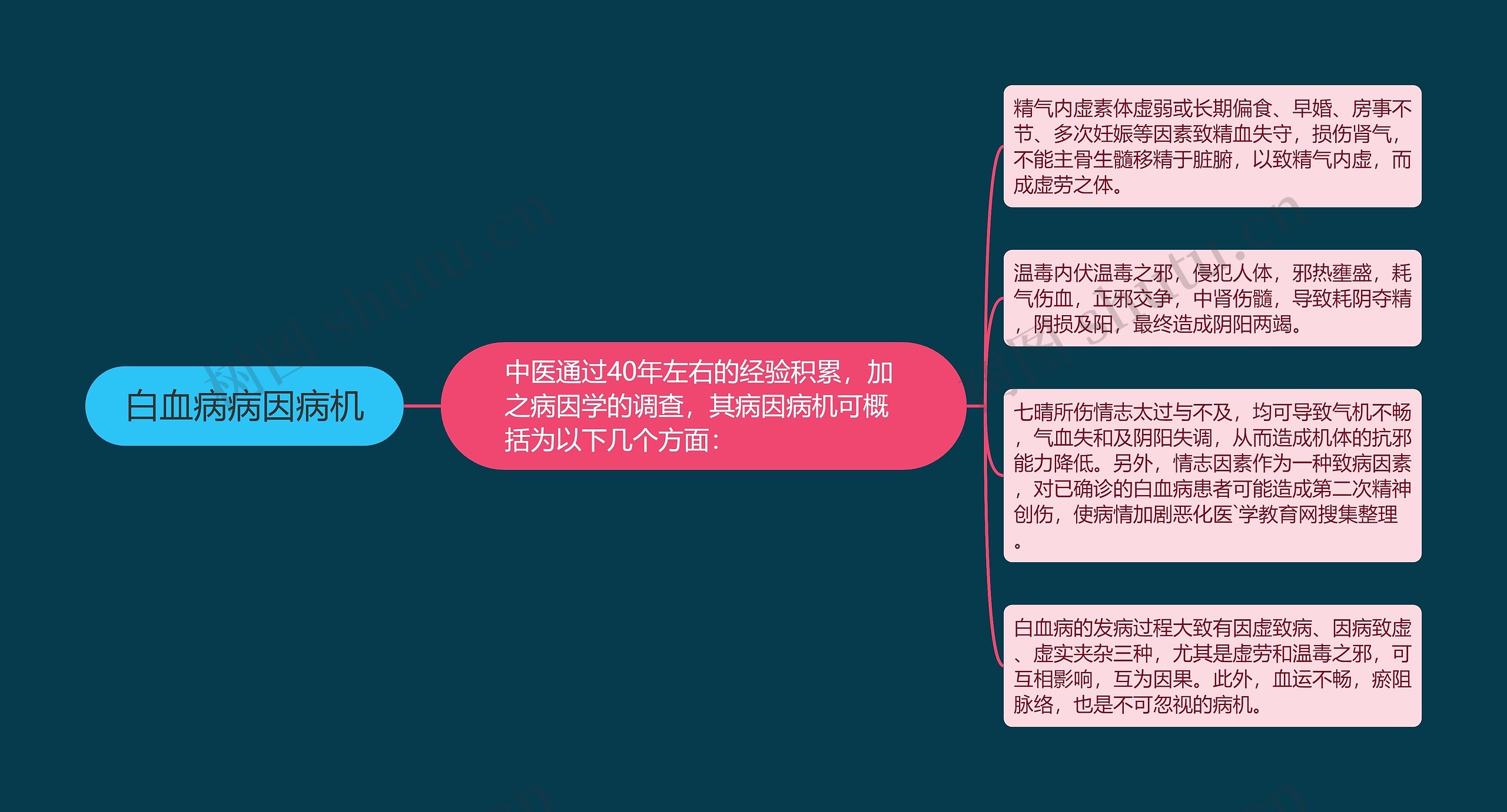 白血病病因病机