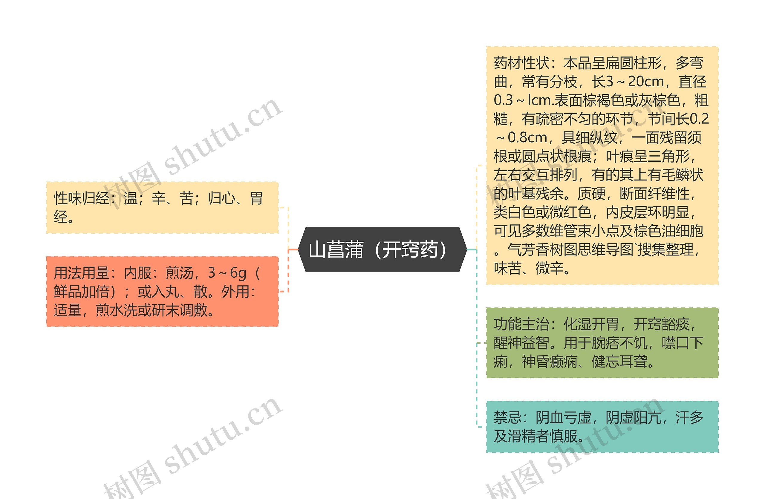 山菖蒲（开窍药）思维导图