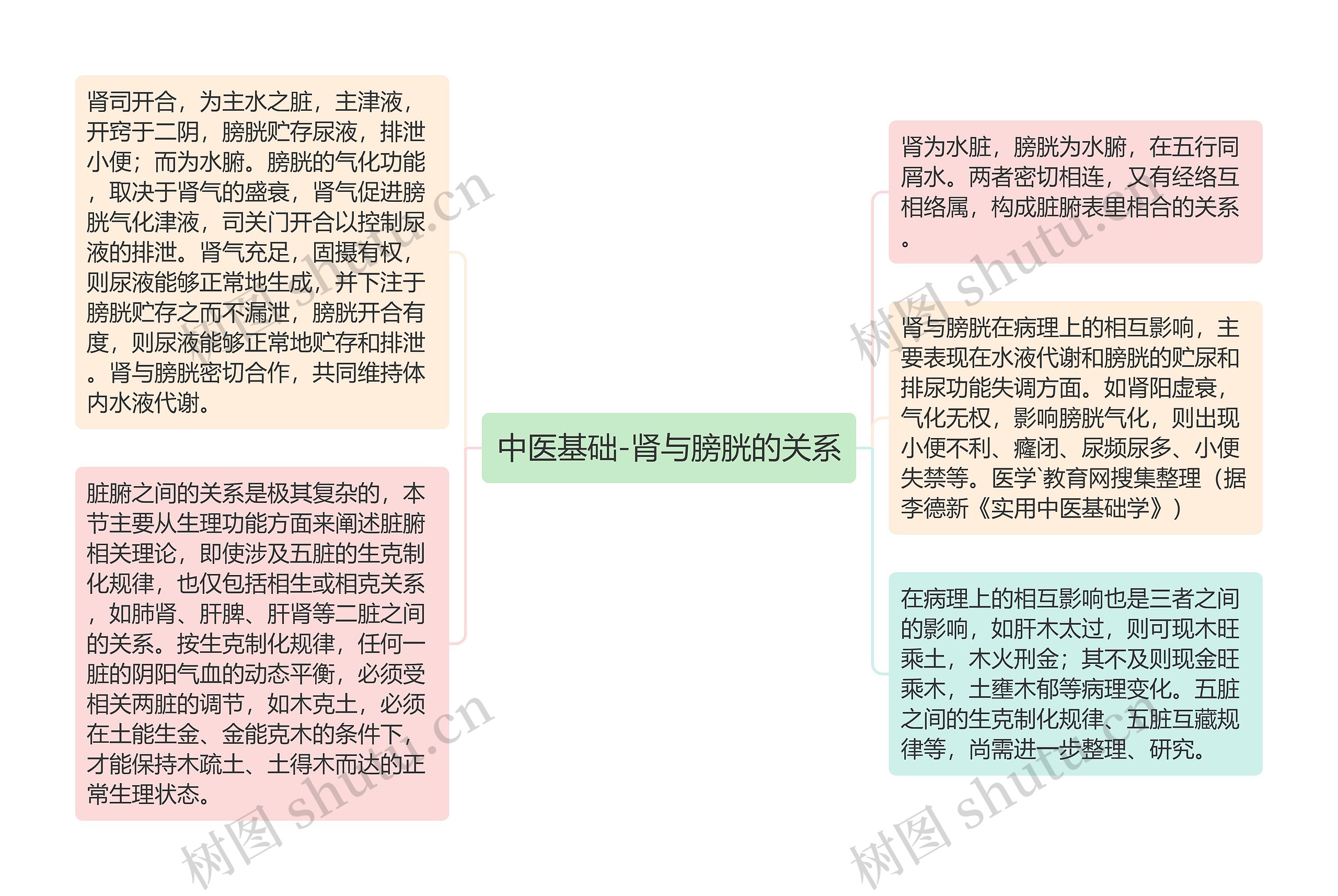 中医基础-肾与膀胱的关系思维导图