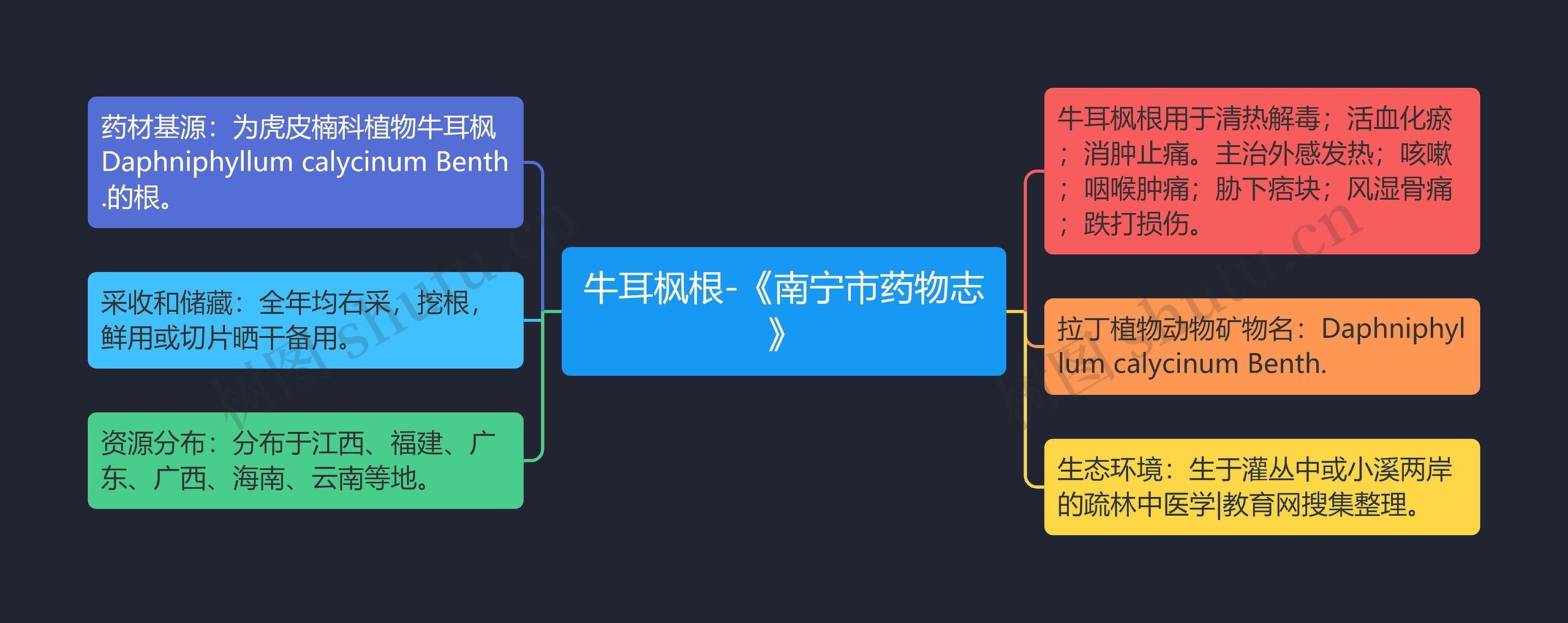 牛耳枫根-《南宁市药物志》 牛耳枫根-《南宁市药物志》