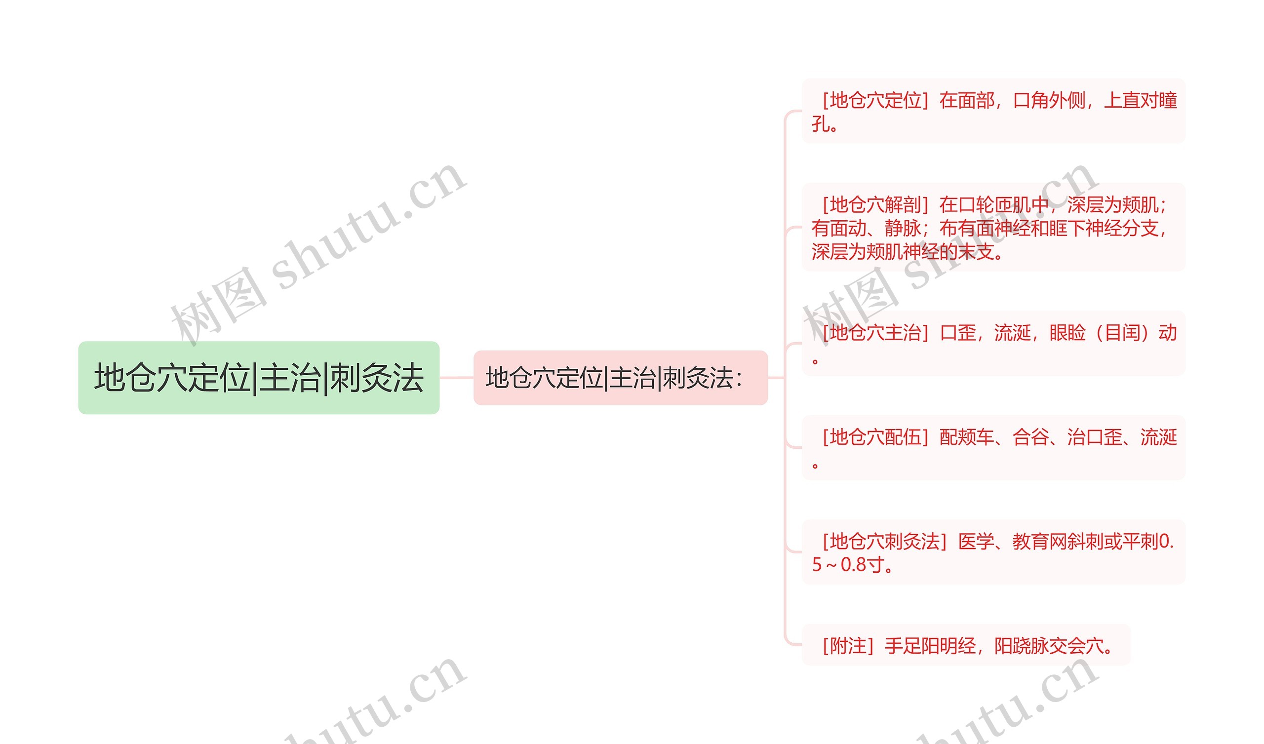 地仓穴定位|主治|刺灸法思维导图