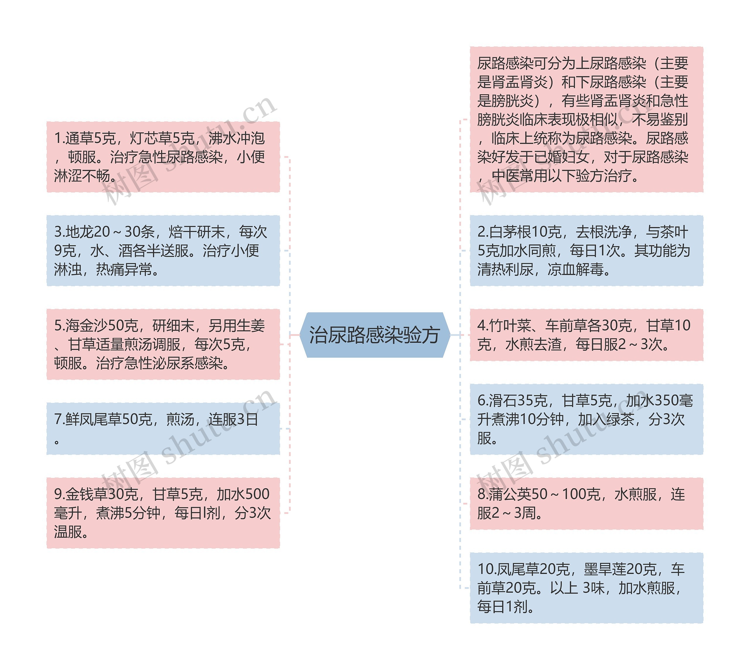 治尿路感染验方思维导图