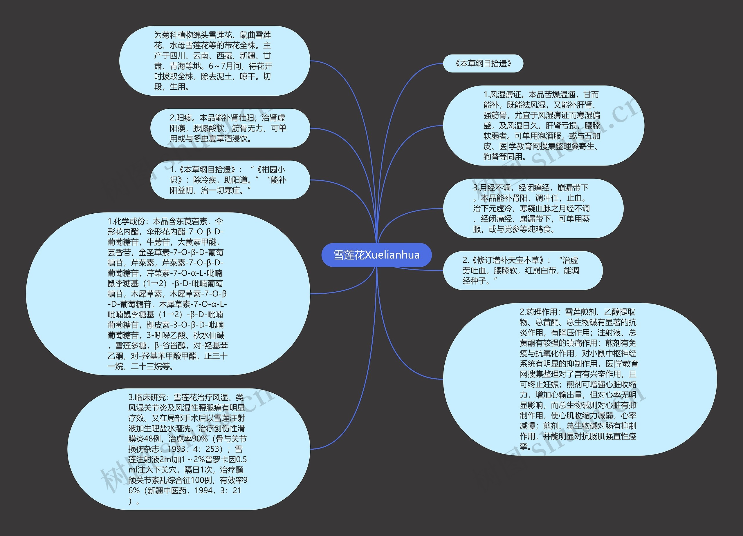 雪莲花Xuelianhua思维导图