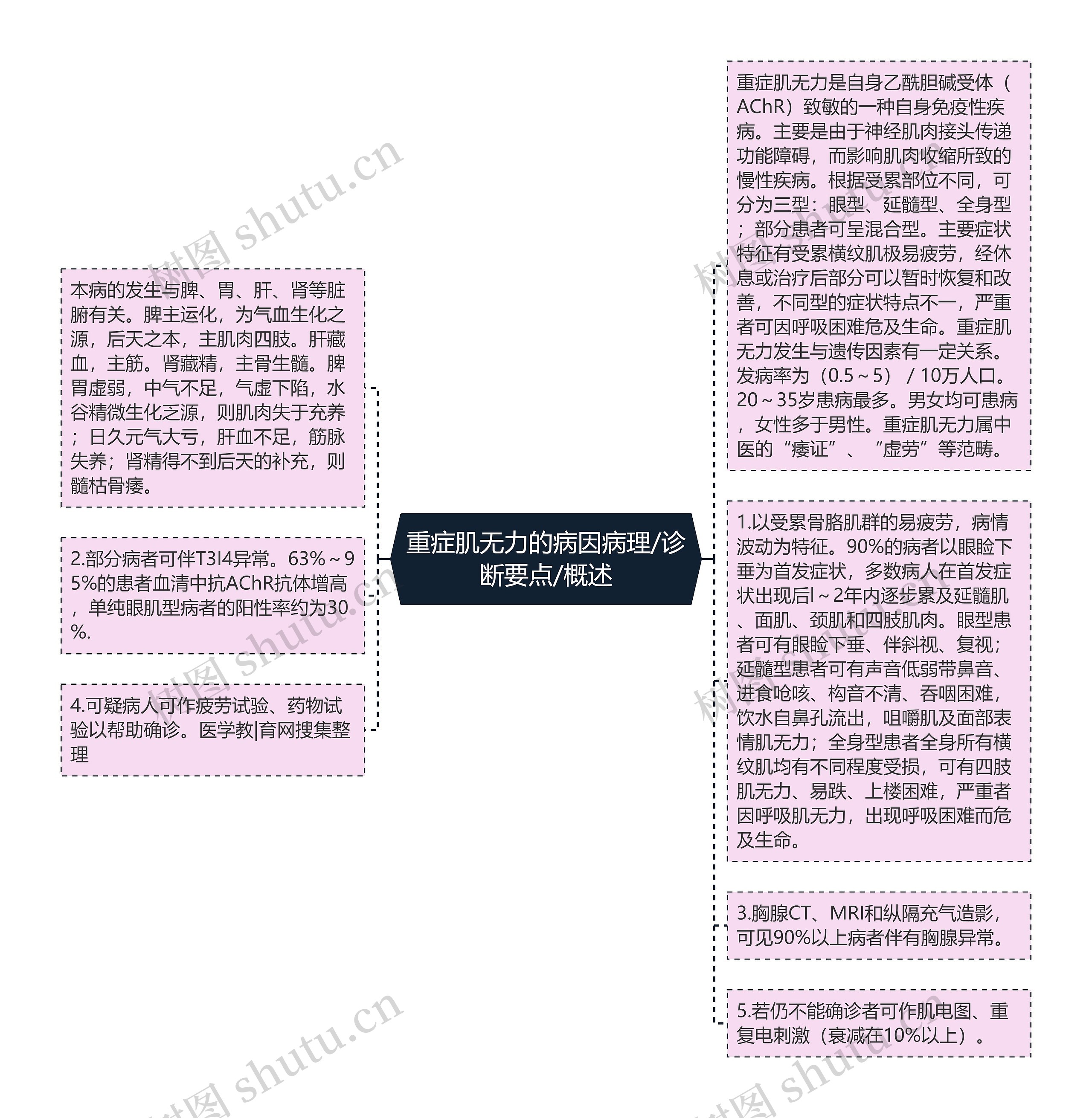 重症肌无力的病因病理/诊断要点/概述