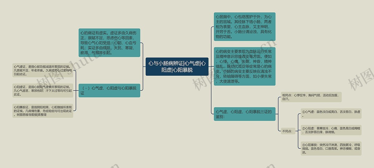 心与小肠病辨证|心气虚|心阳虚|心阳暴脱思维导图_编号p6959080-TreeMind树图