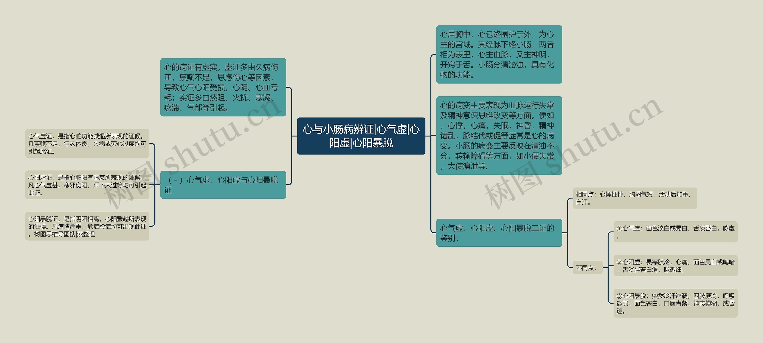 心与小肠病辨证|心气虚|心阳虚|心阳暴脱思维导图