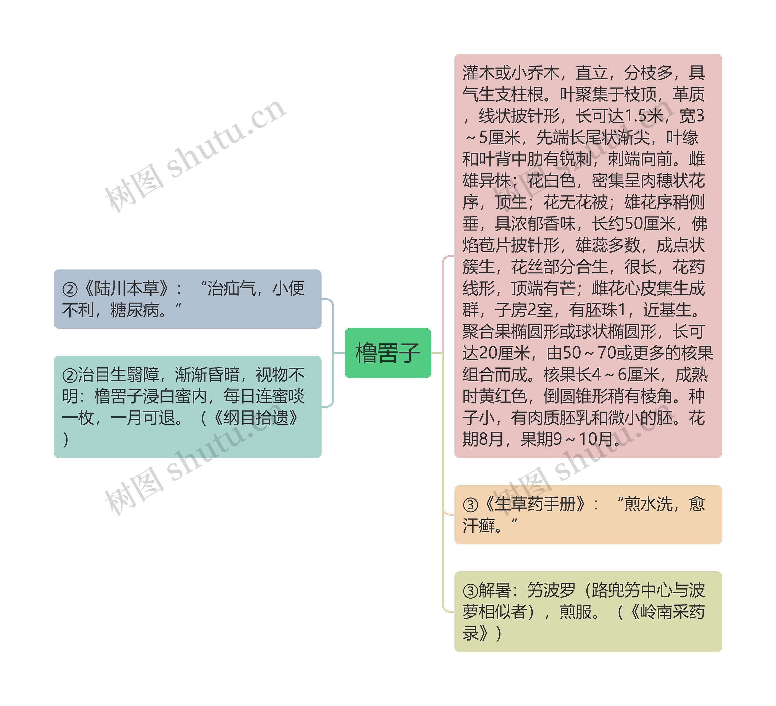 橹罟子思维导图