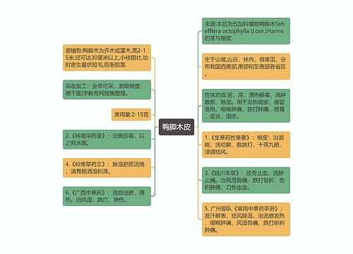 鸭脚木皮思维导图