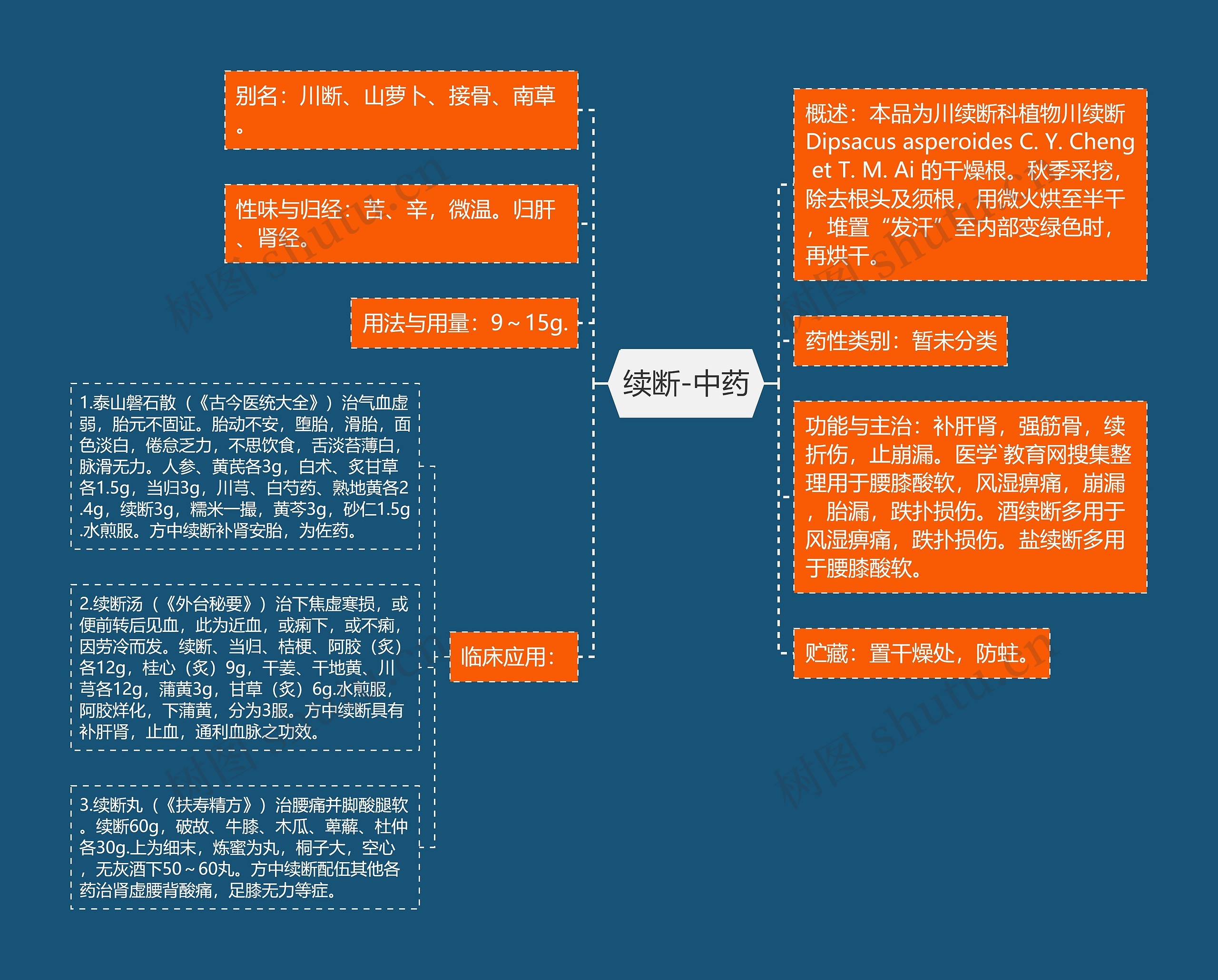 续断-中药思维导图